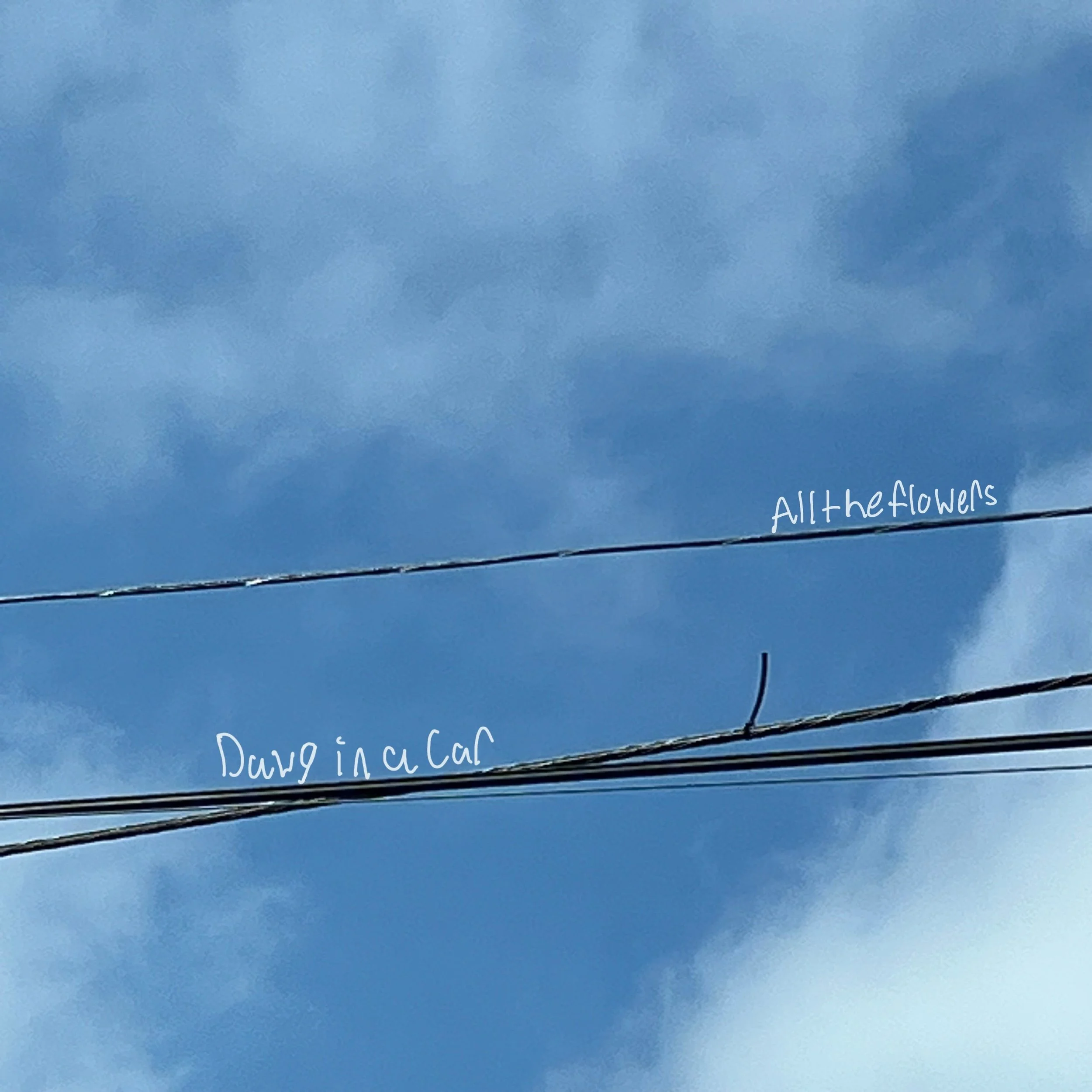 Alltheflowers – “Dawg In A Car”