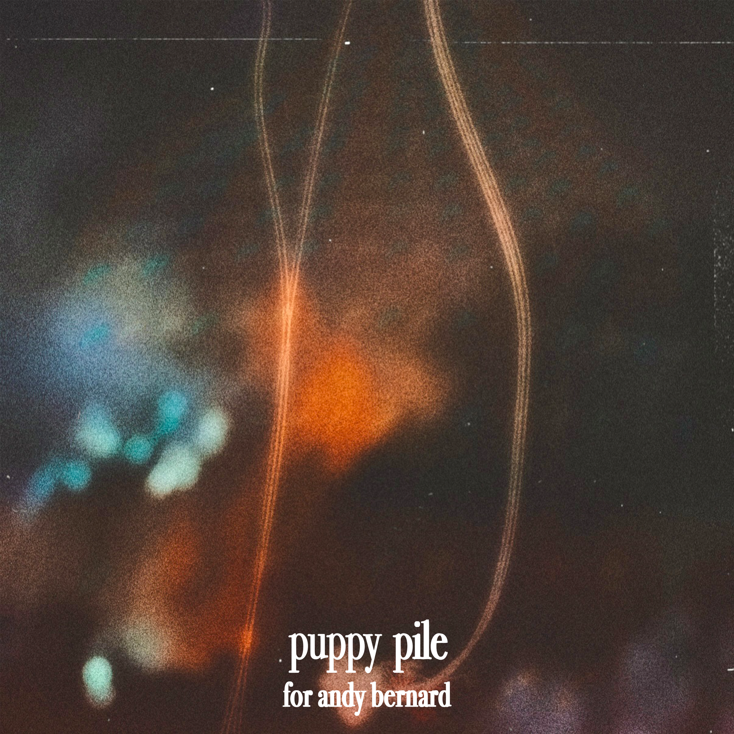 Puppy Pile – “For Andy Bernard”