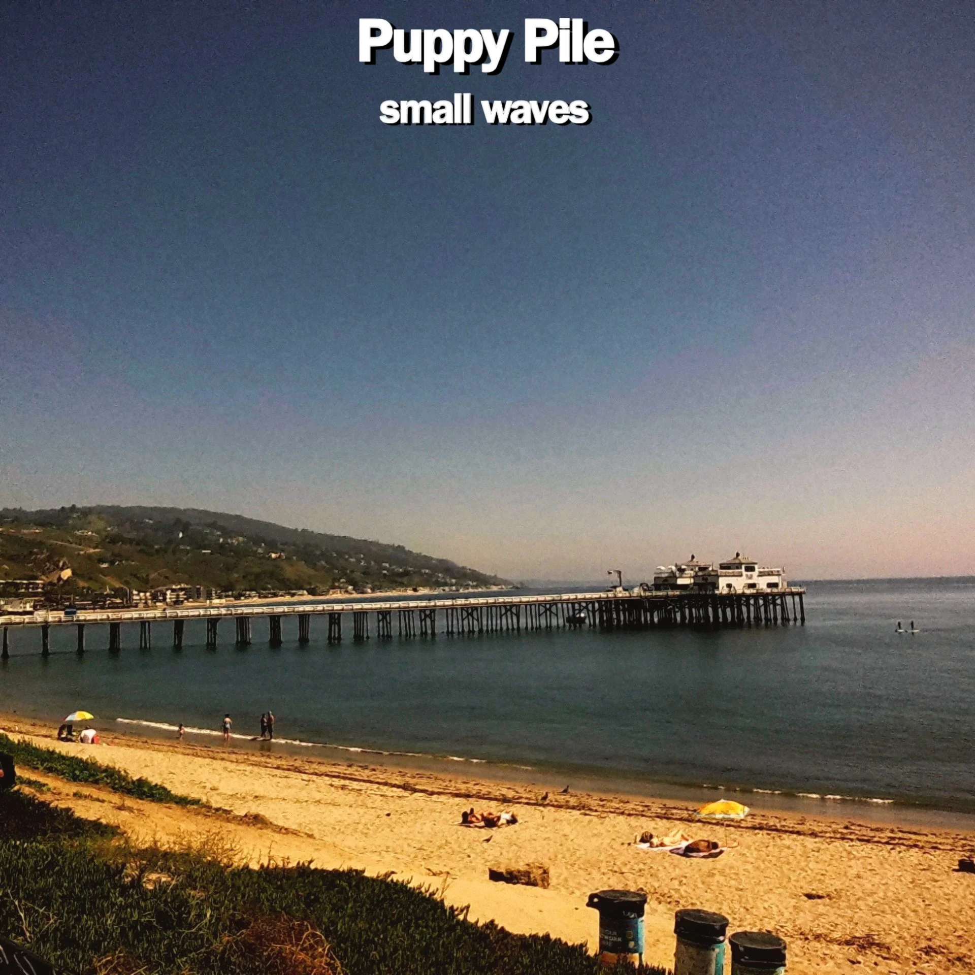 Puppy Pile – “Small Waves”