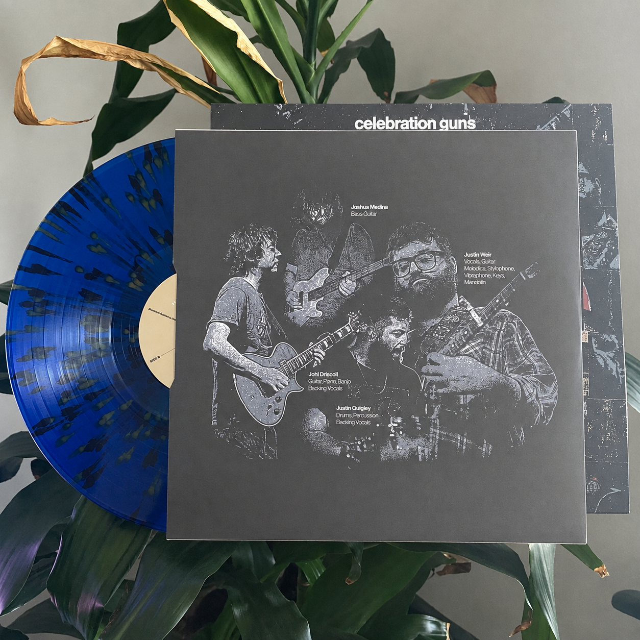 vinyl insert record.png