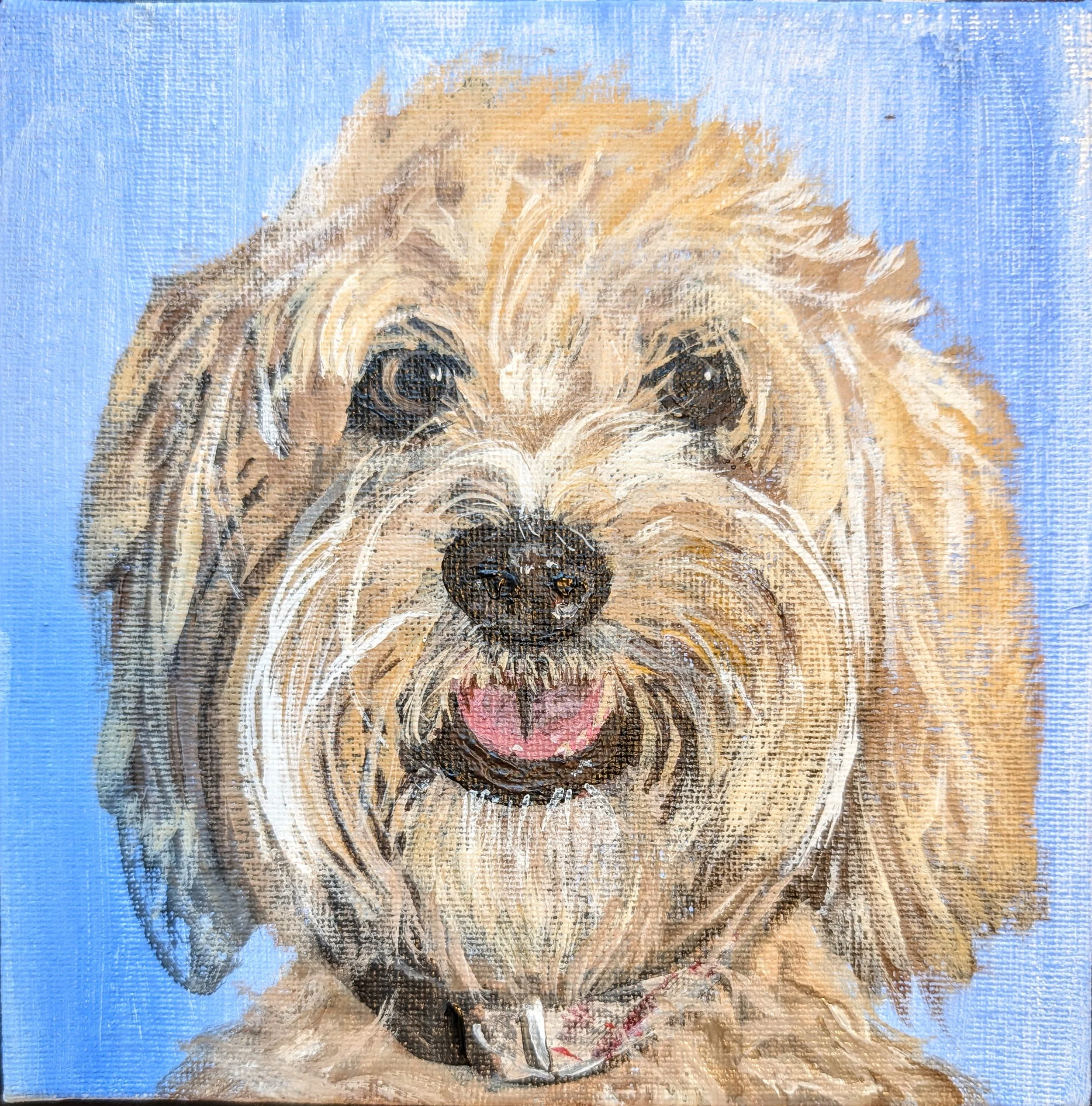 Painting of a fluffy light brown dog with dark eyes and a black nose against a light blue background.