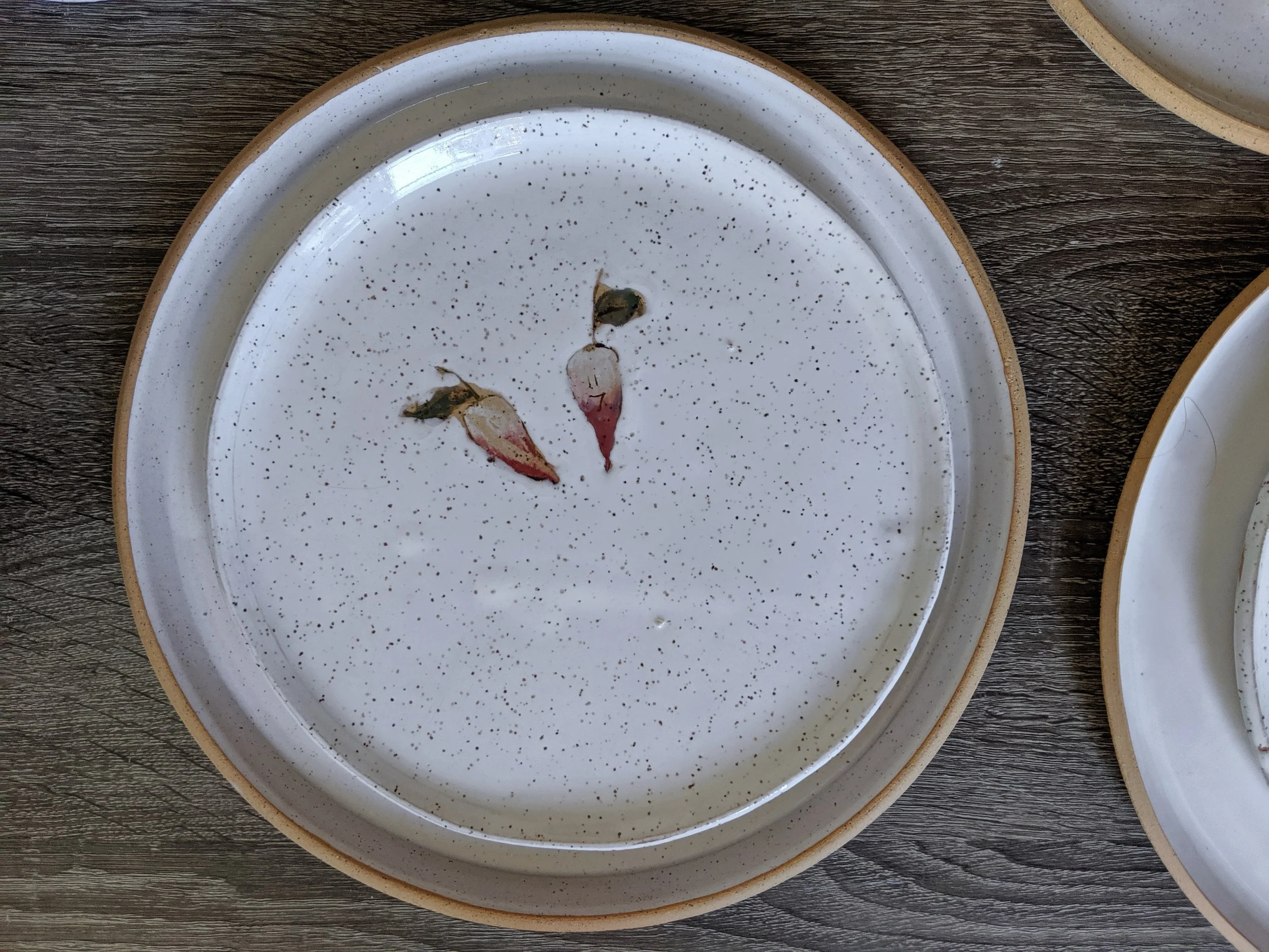 A ceramic plate with speckled pattern and a tan rim, featuring dried rosebuds, placed on a wooden surface.