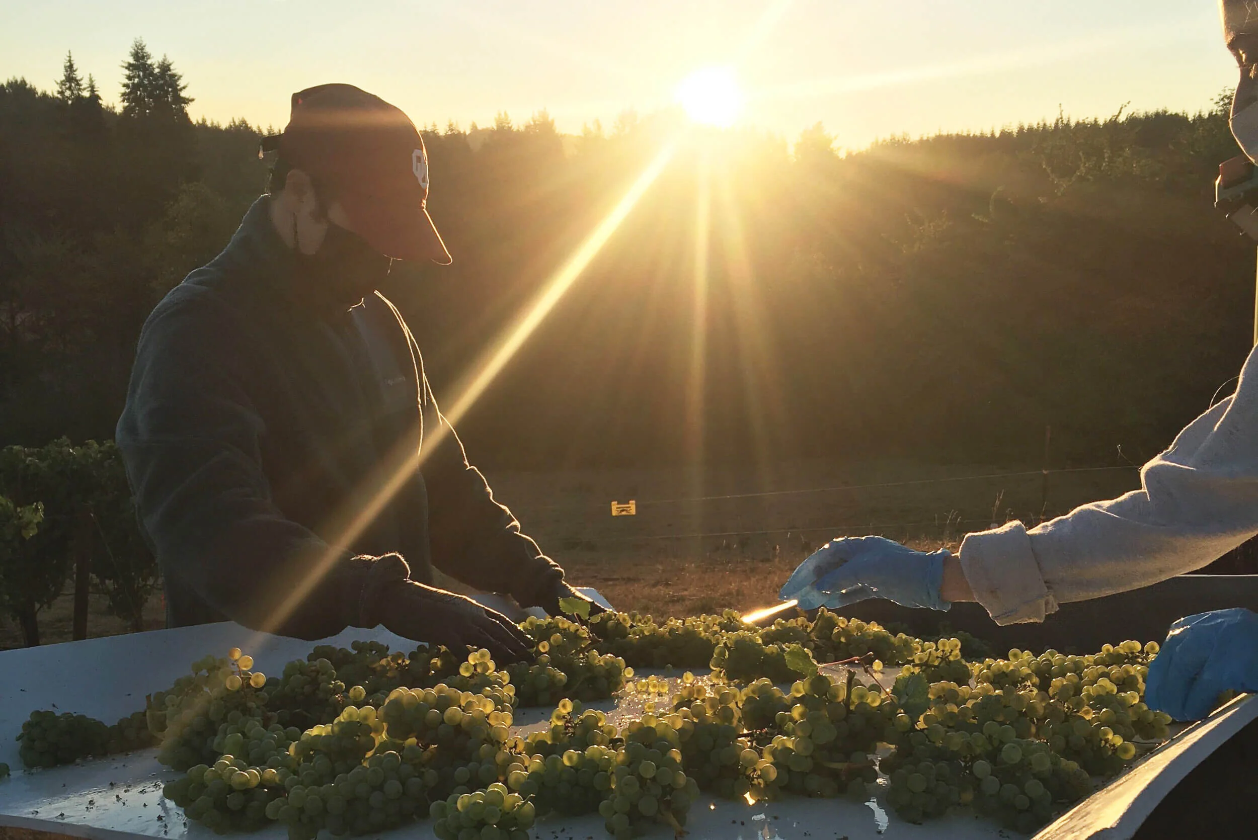 RANCH UPDATES  |  September 2021