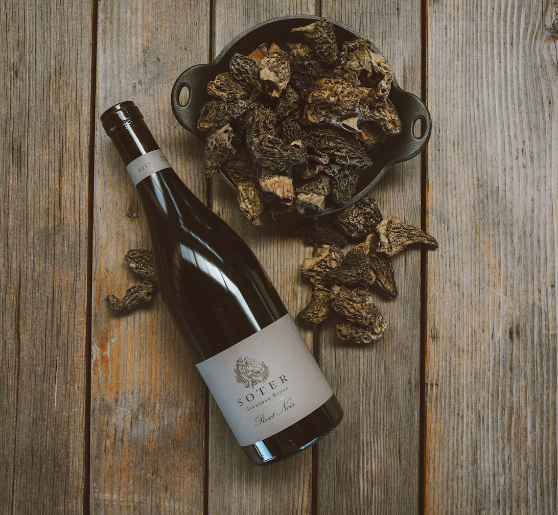 MOREL VICHYSSOISE