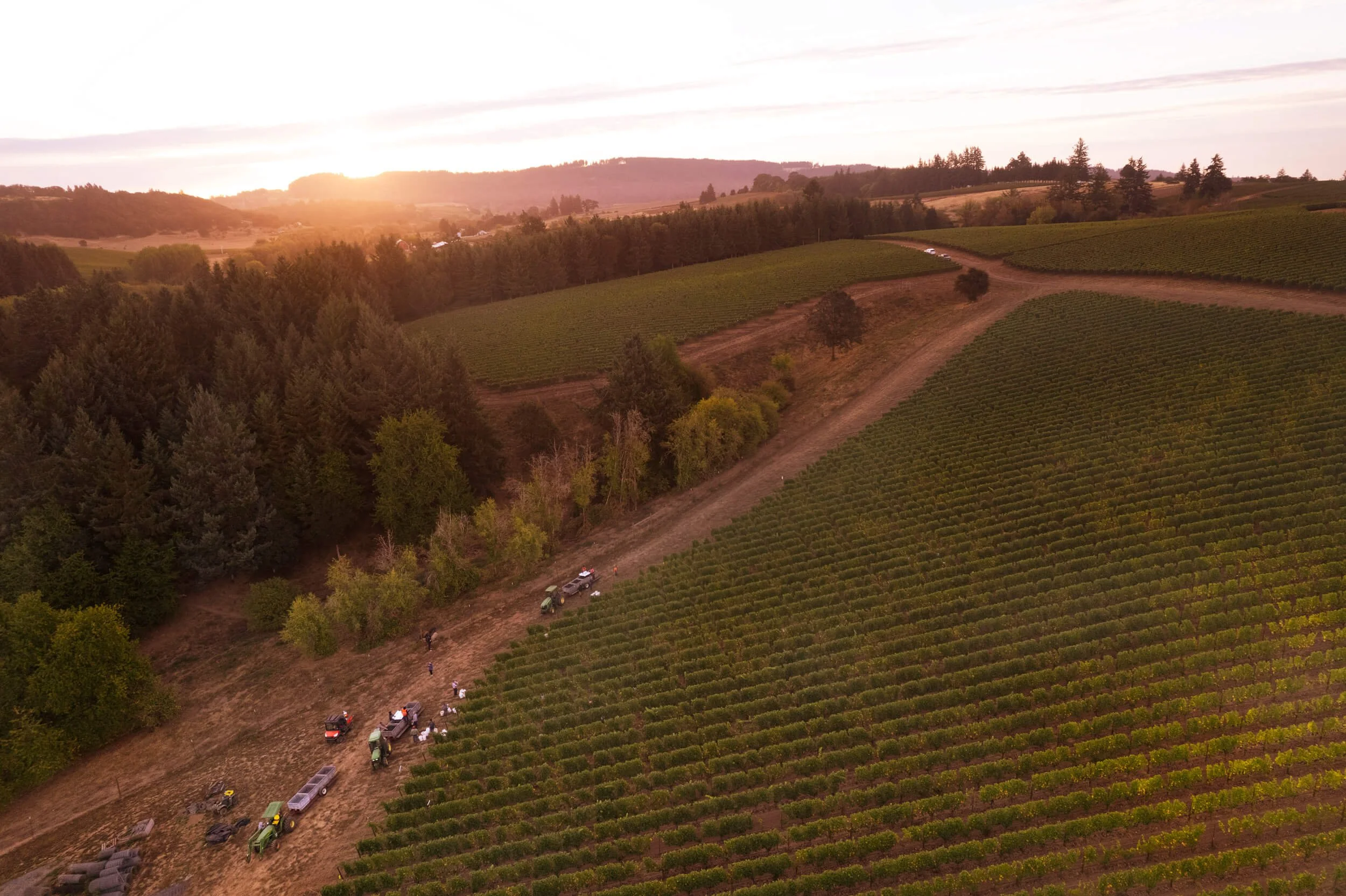 harvest-aerial.jpg