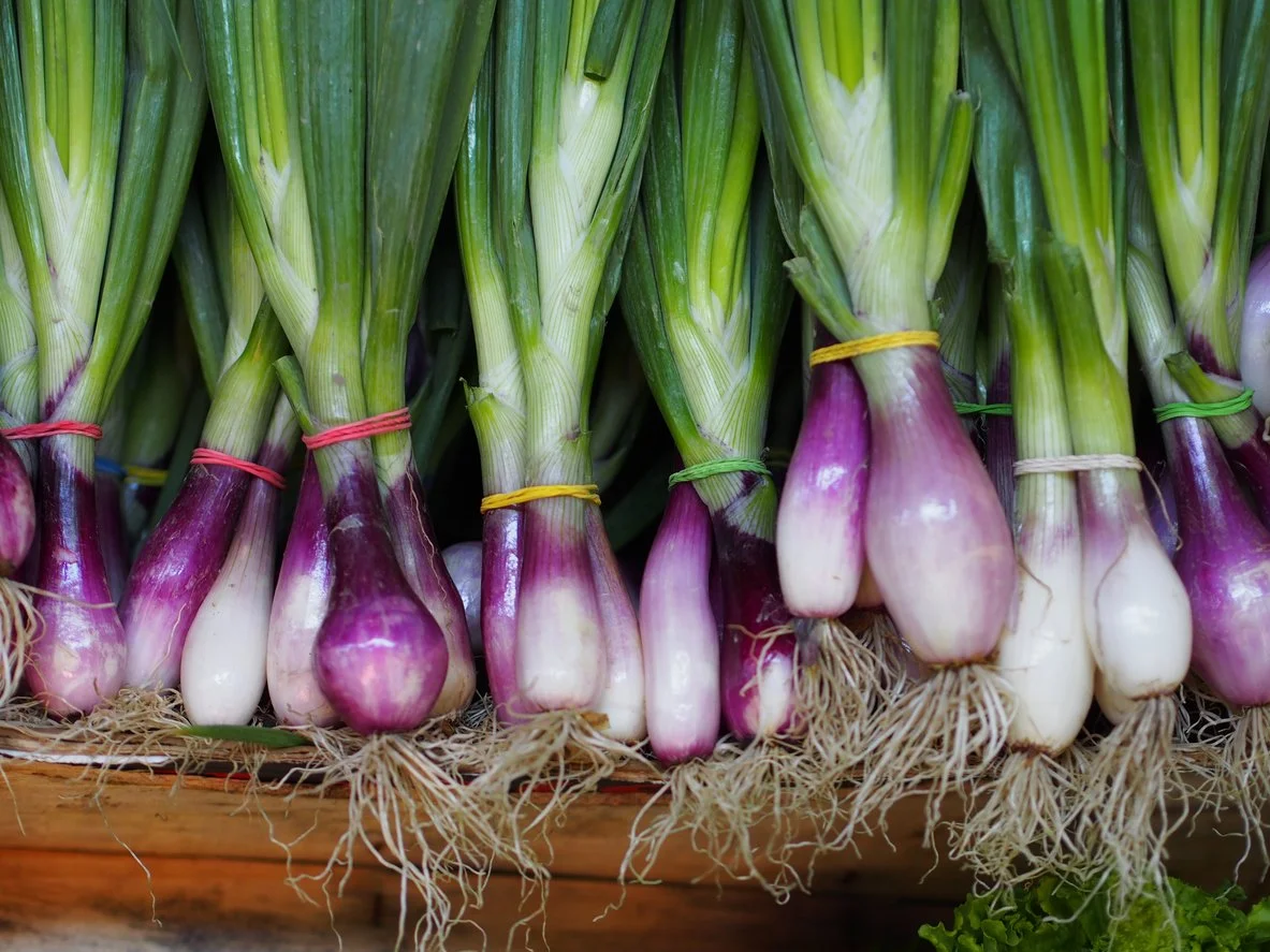 Spring Onion Tarte Tatin