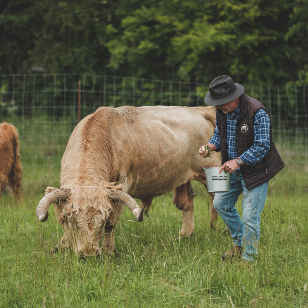 RANCH &amp; VINEYARD