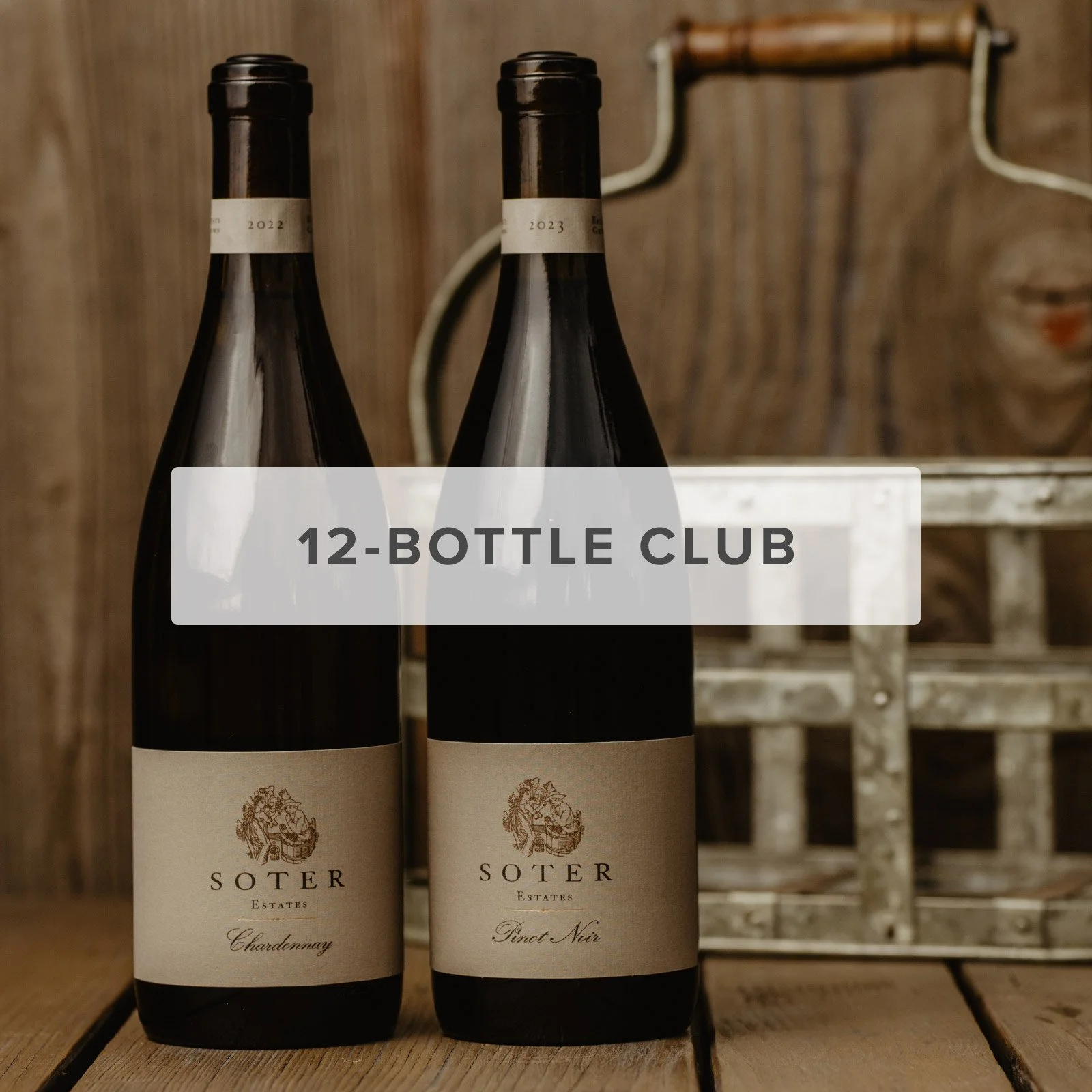 <strong><br/><br/>WINTER 2026 ALLOCATION</strong>