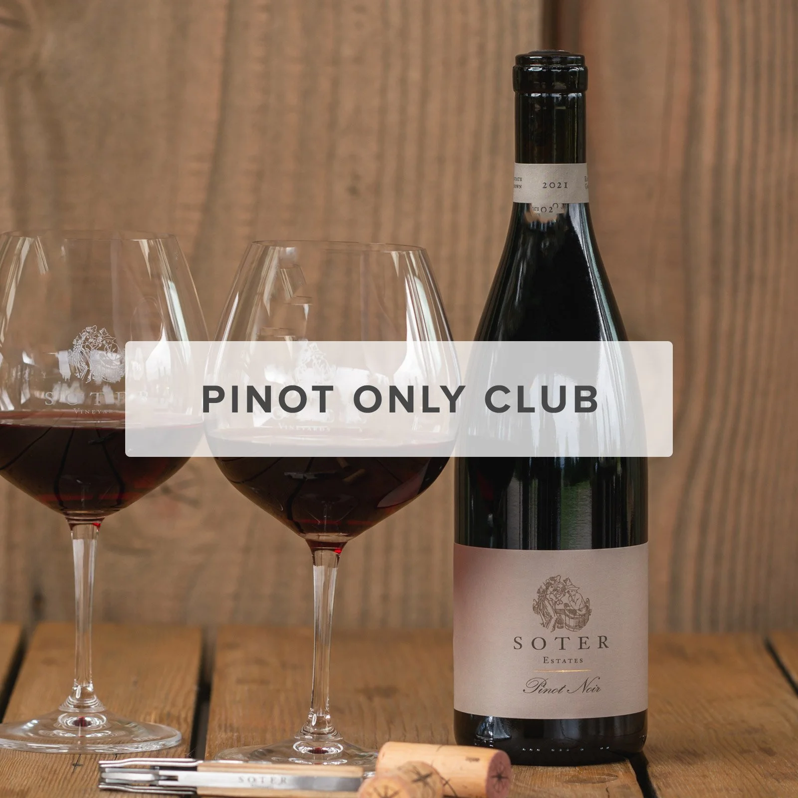 <strong><br/><br/>WINTER 2026 ALLOCATION</strong>