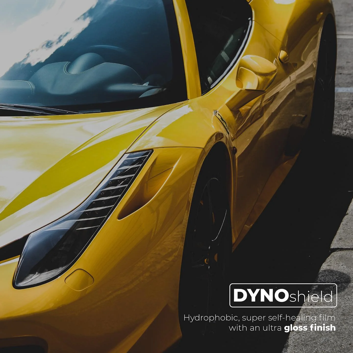 STEK AUTOMOTIVE Paint Protection Film Window Film Windshield