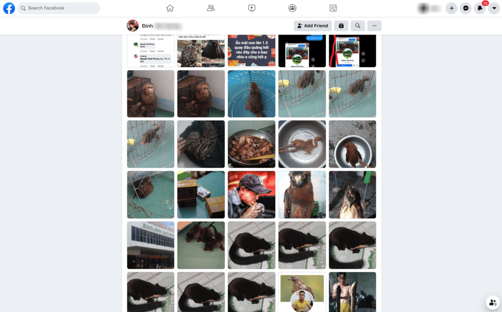 vietnamese profile sells lots of animals facebook.png