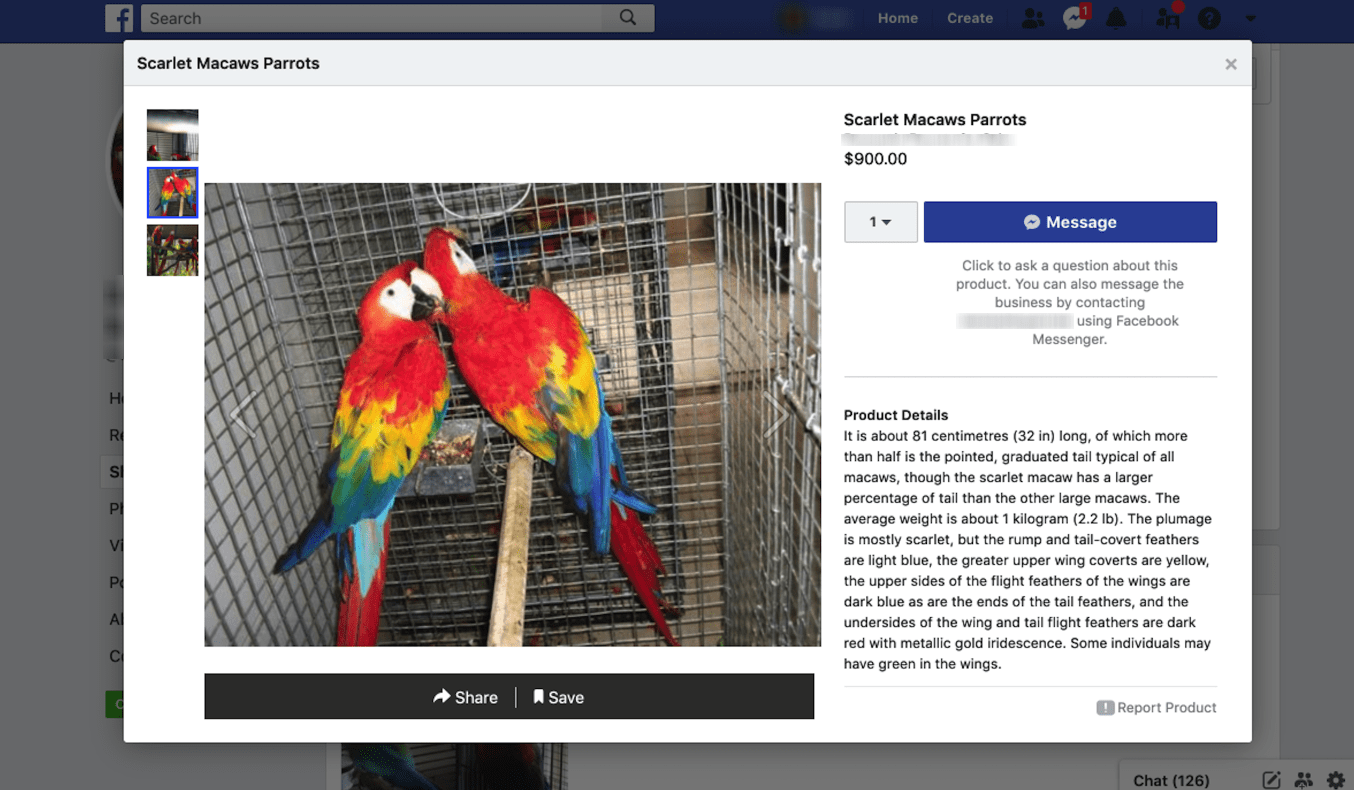 Parrots in Facebook shop .png