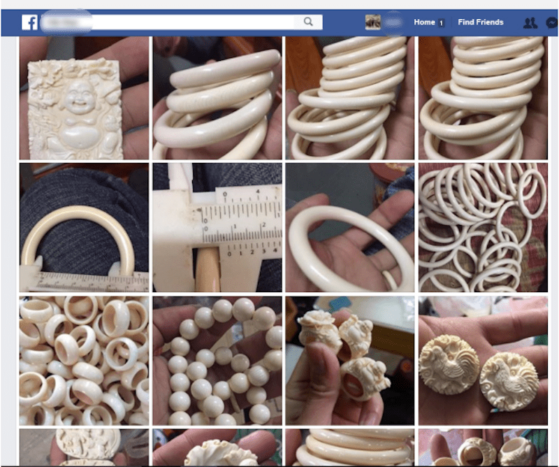ivory for sale on facebook.png