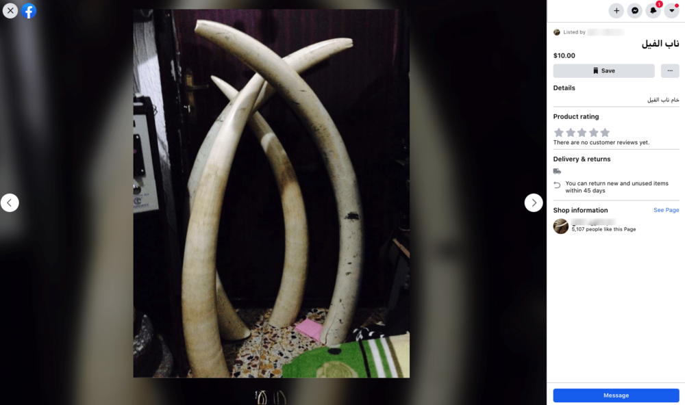 Ivory in facebook shop .png