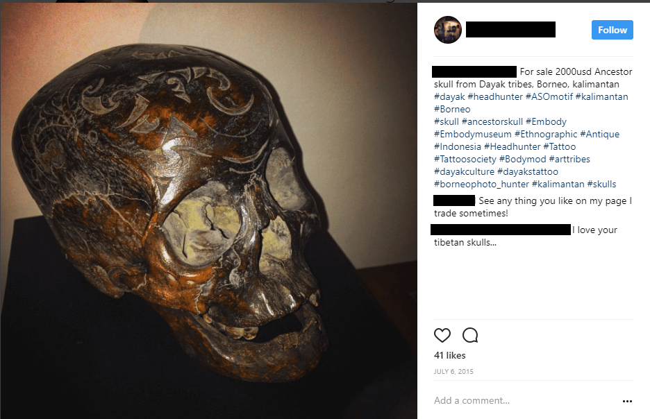 Asmat skull on Instagram 7-6-15.png