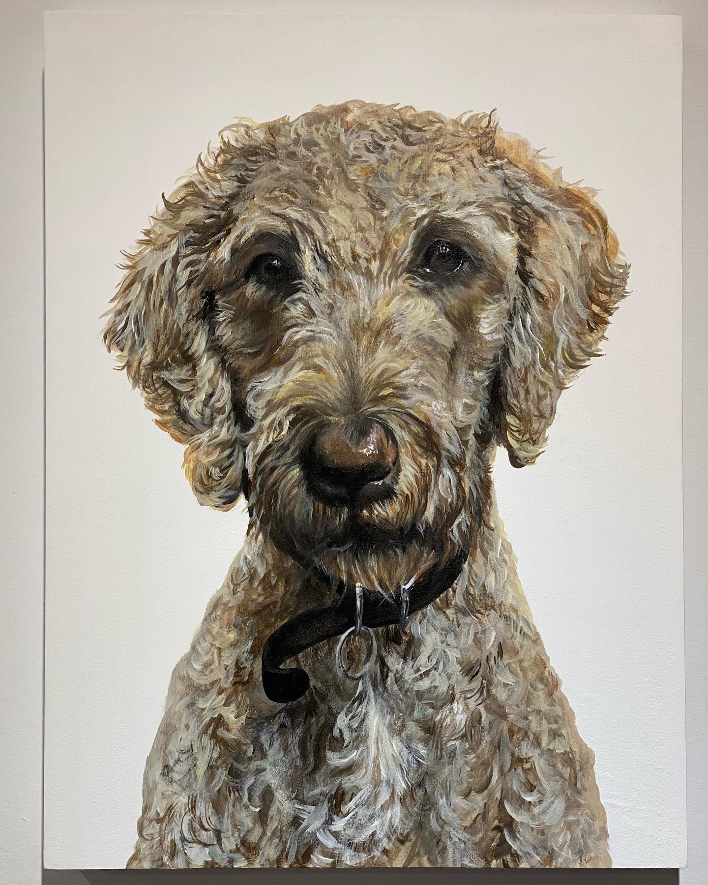 Leo - I loved working on his lovely curly locks. Such a handsome pup! 
.
16&rdquo; x 12&rdquo; acrylic on panel
. 
.
.
.
.
.
#dogsofinstagram #dogsofinsta #labradoodle #labradoodlesofinstagram #dogoftheday #ilovedogs #petportait #petportraits #painte