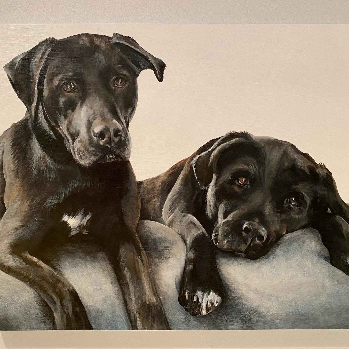 Miga and Marley - what an amazing brother and sister team and such loving companions to one of the best families I know. We miss you Miga! 
.
14&rdquo; x 18&rdquo; acrylic on panel
. 
.
.
.
.
.
#dogsofinstagram #dogsofinsta #dogoftheday #ilovedogs #p