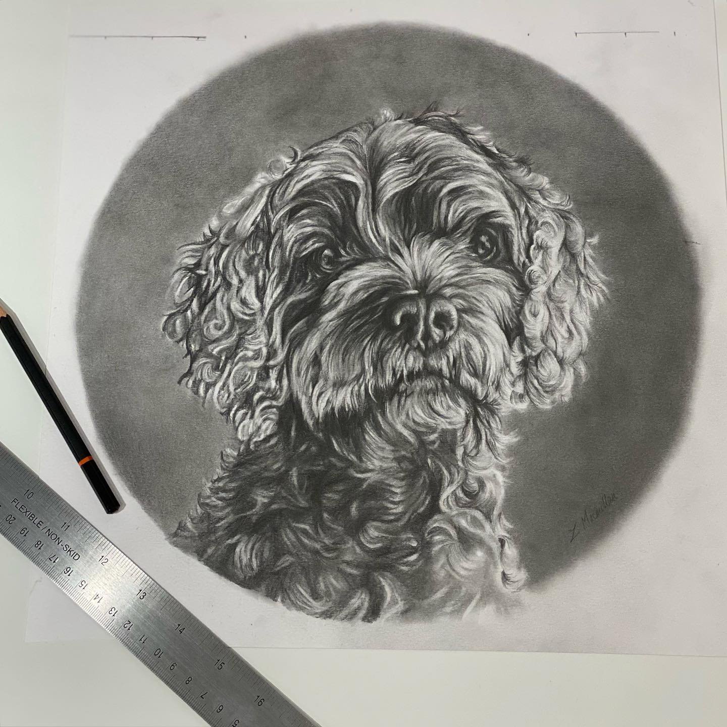 Tess - What a beauty. I recently completed this drawing, a commission for a family who had lost this important member. She was clearly very well loved and my heart goes out to them. 
.
12&rdquo; pencil drawing on paper
.
.
.
.
#dogsofinstagram #dogso