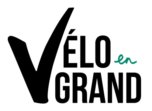 Logo-VEG_Noir-et-vert-500x366.png