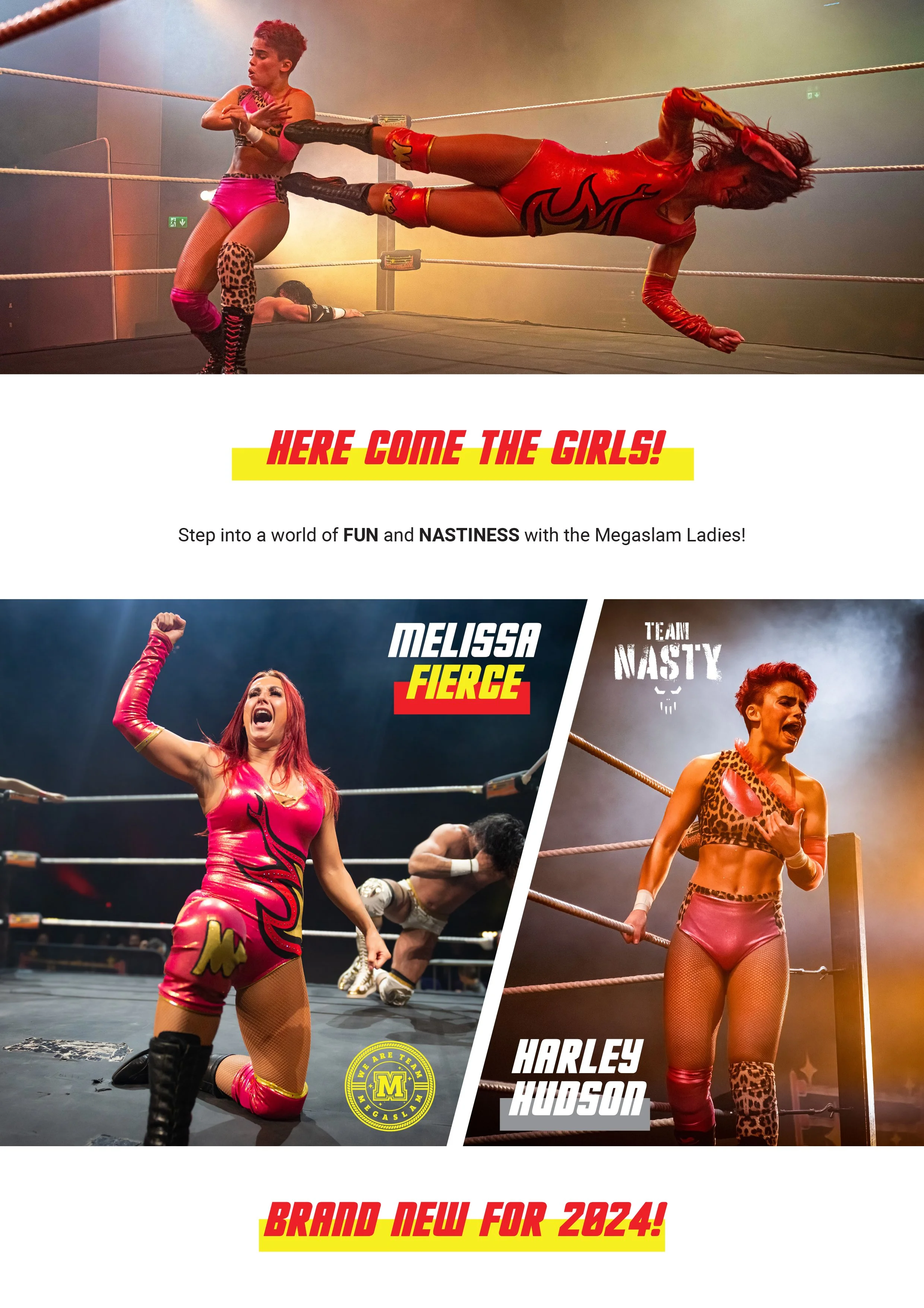 megaslamofficial2024magazine-5.jpg