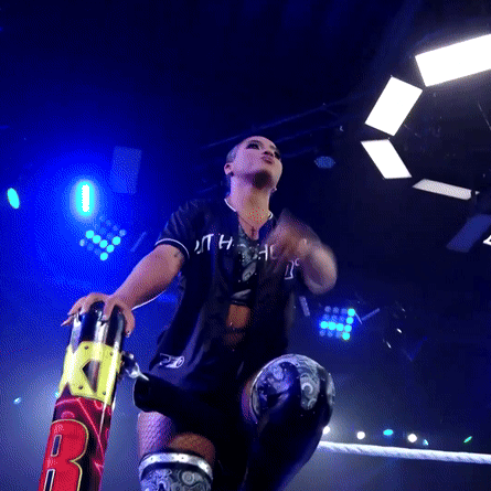 Footage by WWE © TKO Group Holdings, Inc. Displayed for portfolio and portfolio identification purposes only.