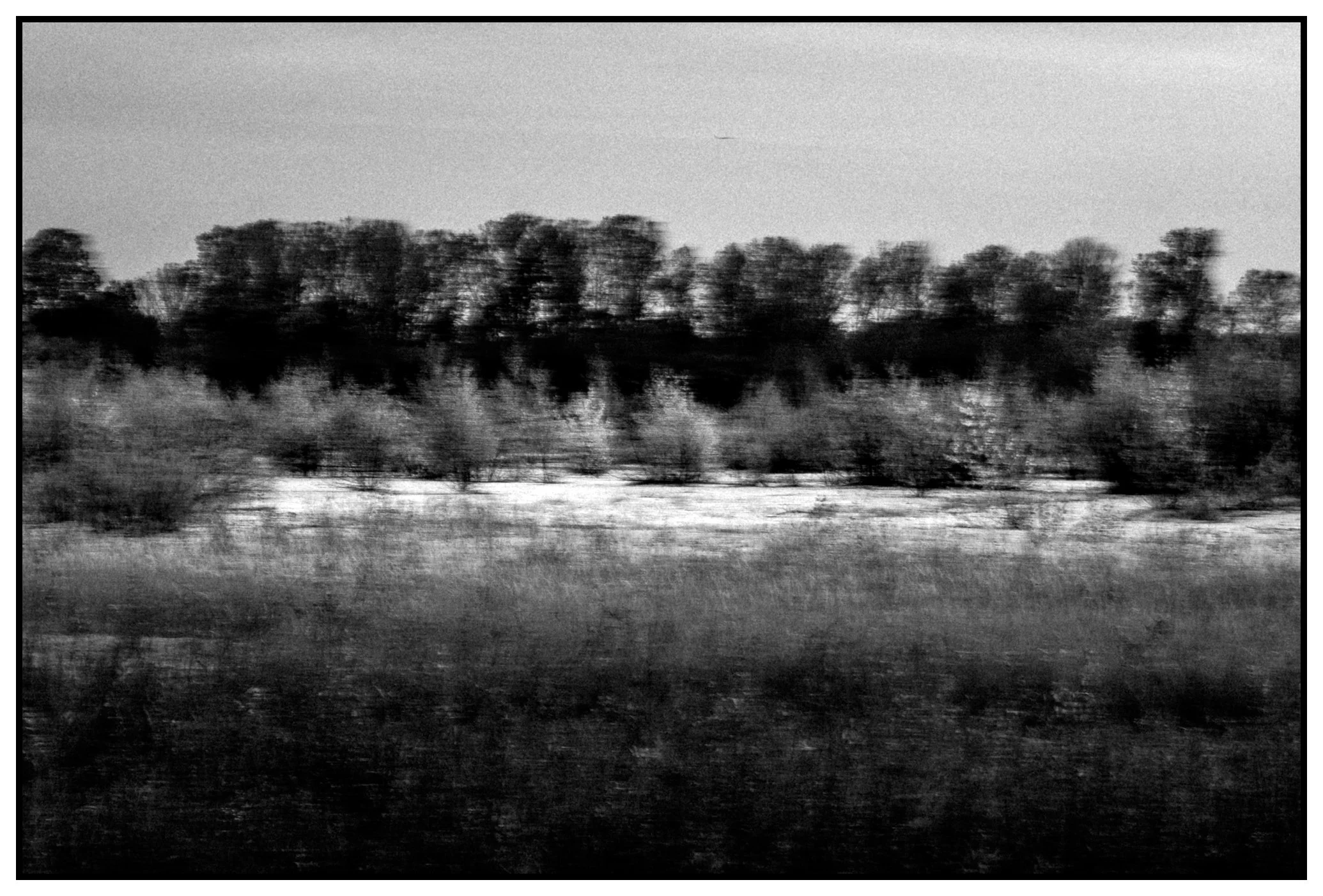 DSCF9693-Edit.jpg