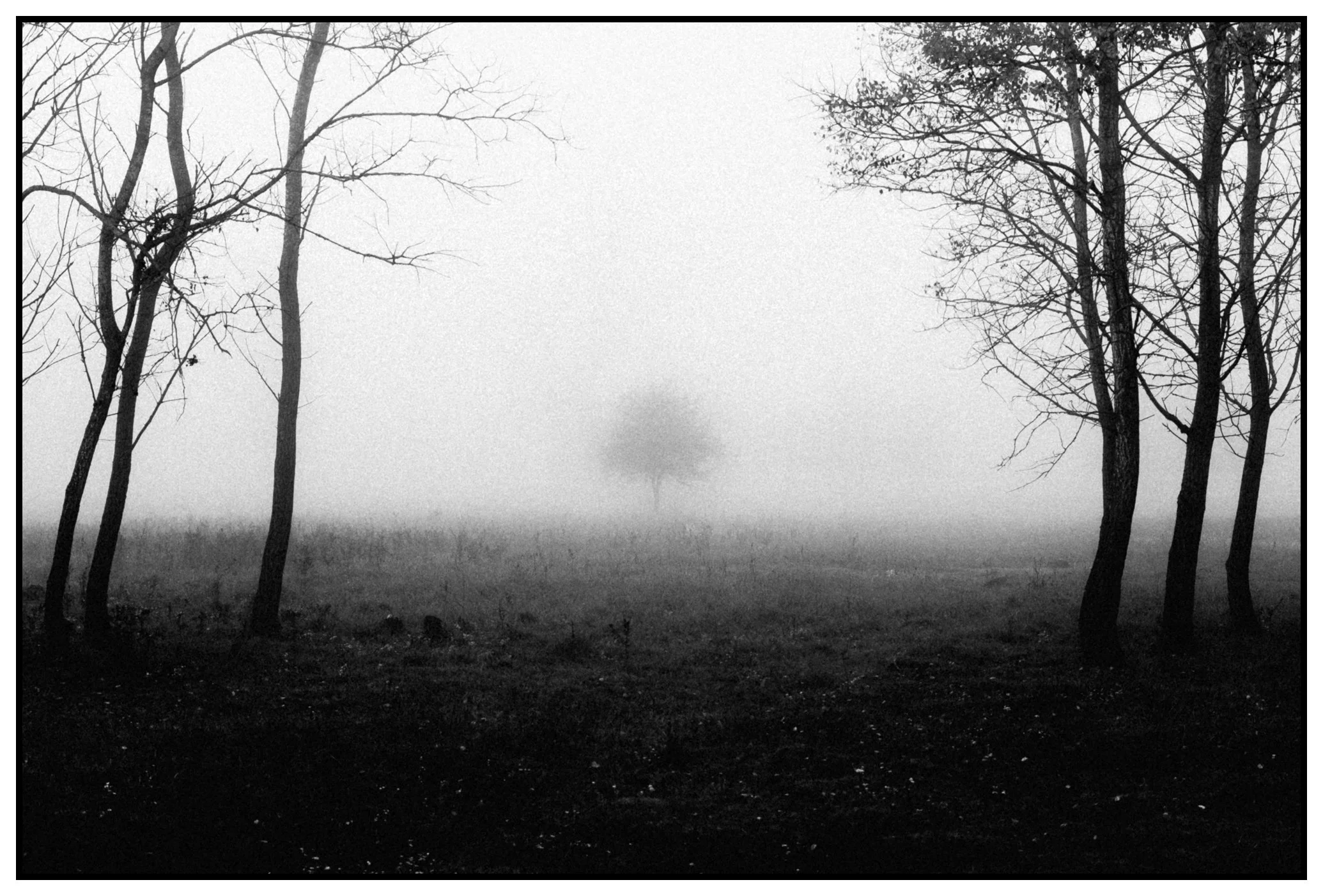 DSCF0119-Edit.jpg