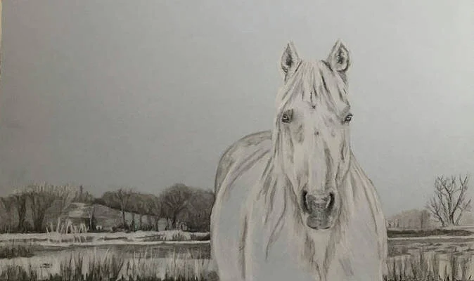 Winter Mare.jpeg