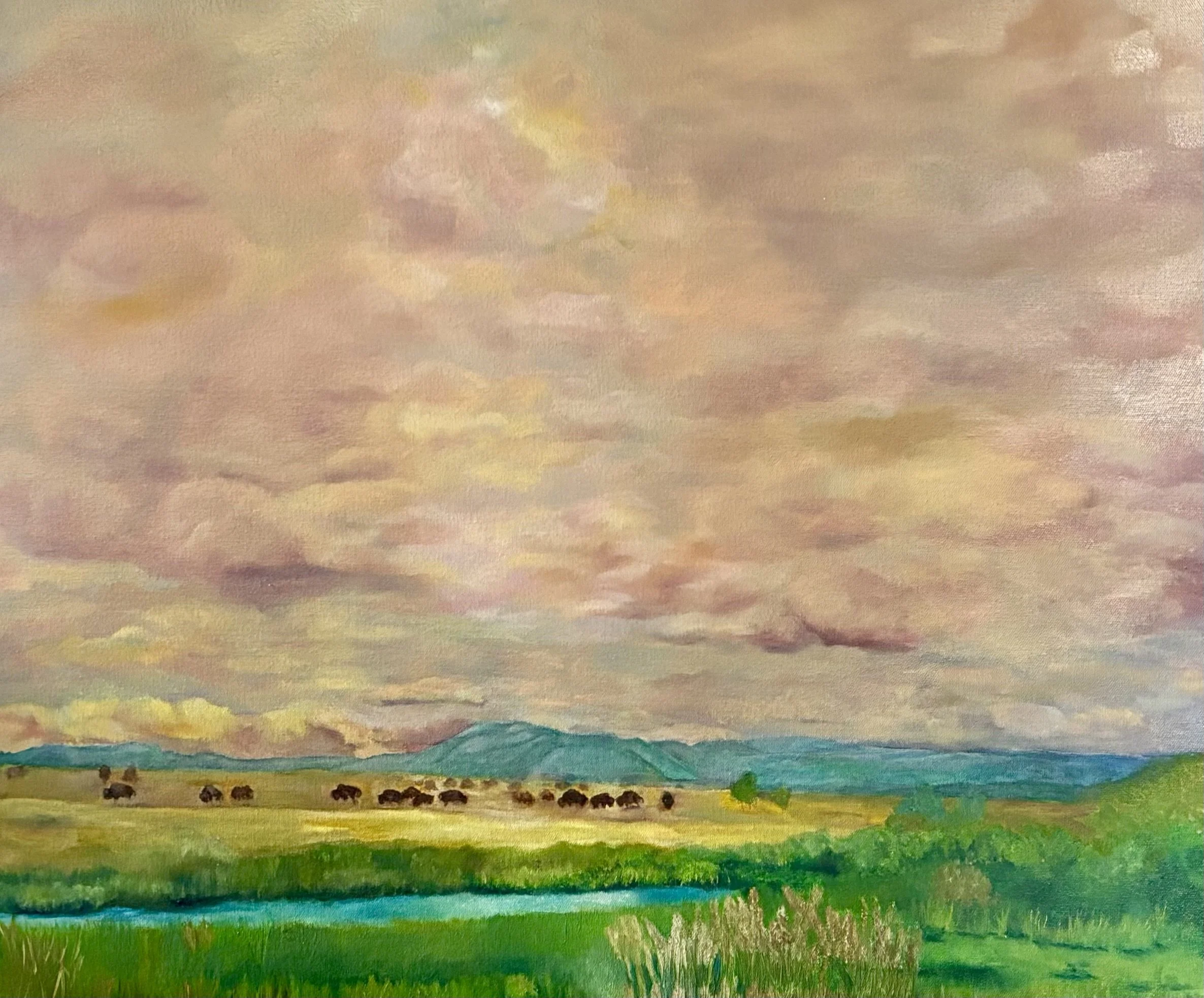 Buena Vista Coudy Sky.jpeg