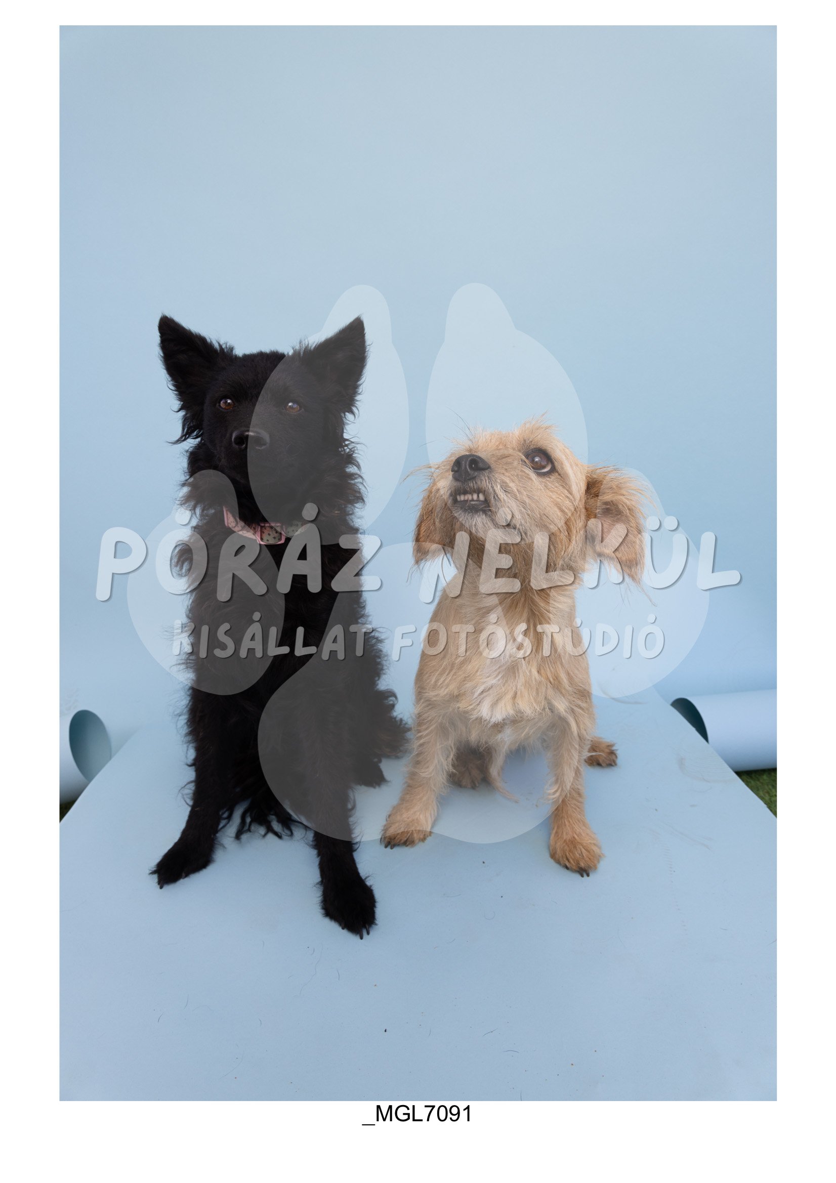 Fidela_Puller_Galéria-04.jpg