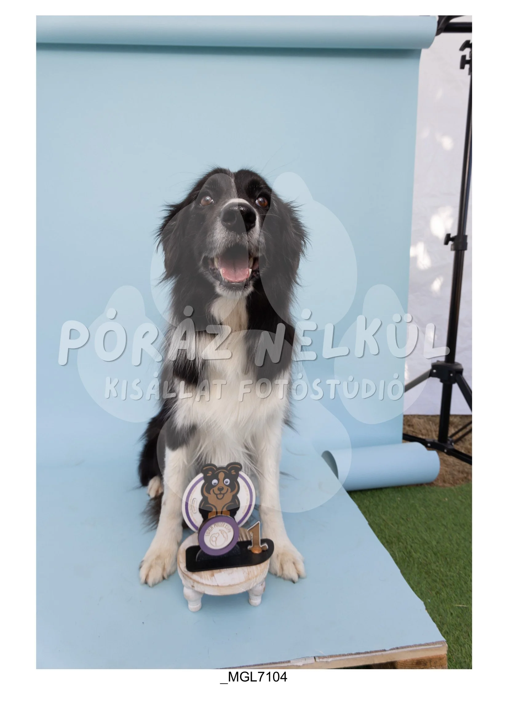 Fidela_Puller_Galéria-06.jpg