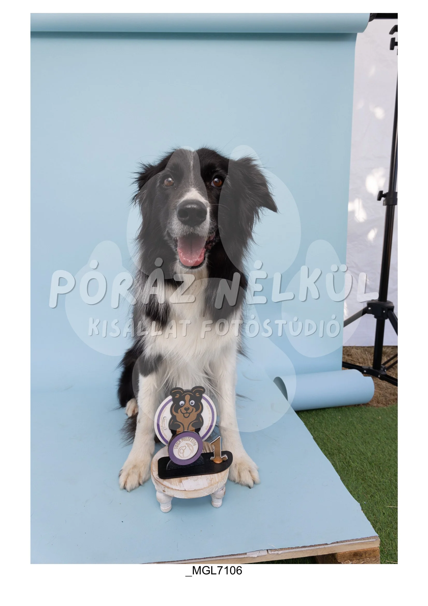 Fidela_Puller_Galéria-07.jpg