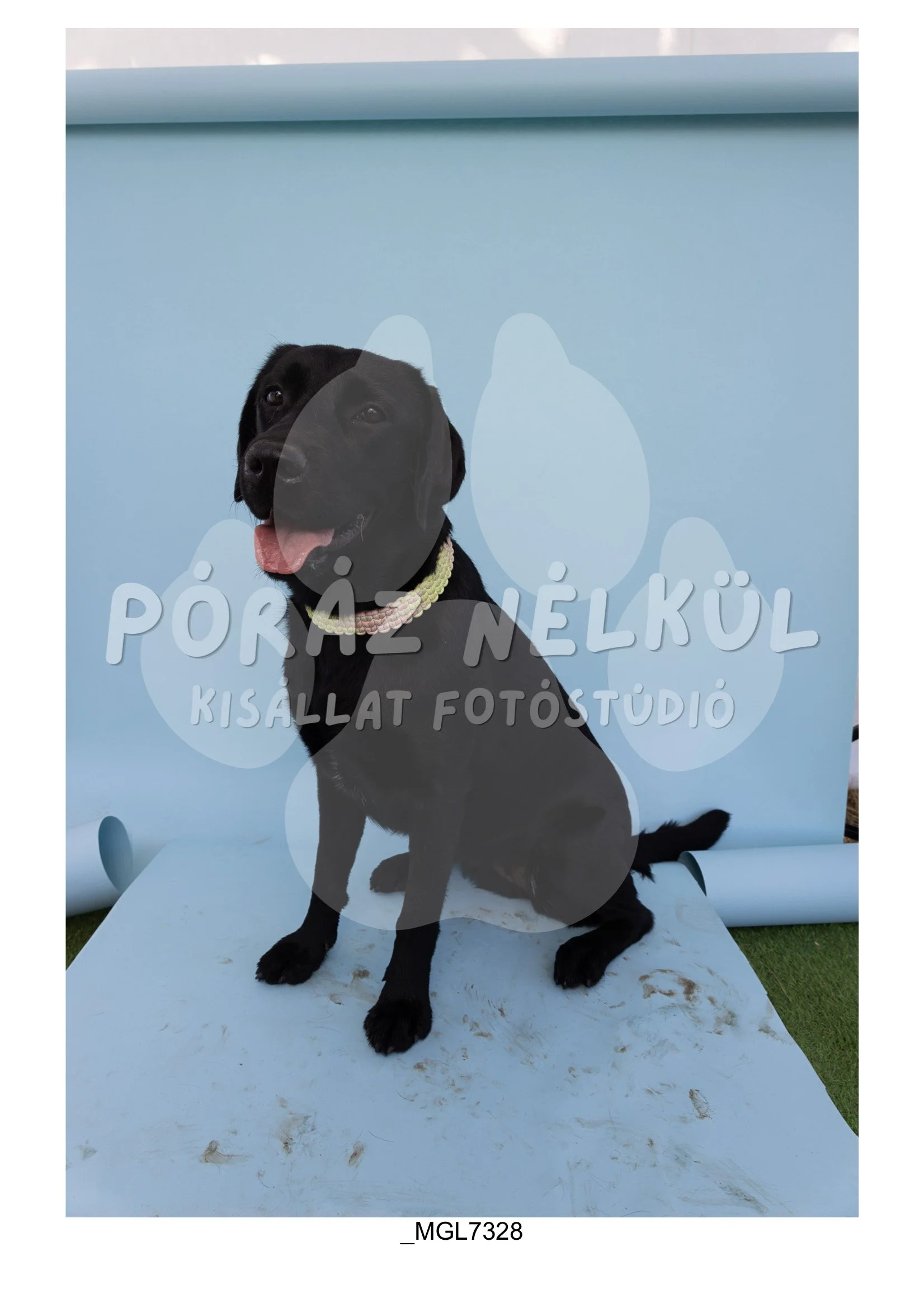 Fidela_Puller_Galéria-20.jpg