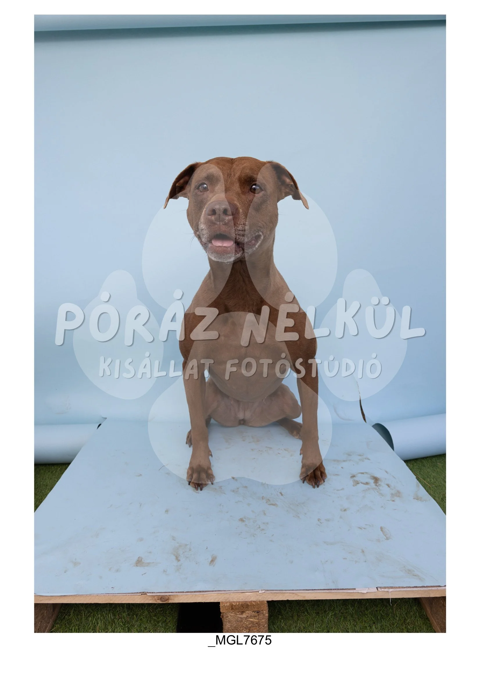 Fidela_Puller_Galéria-55.jpg