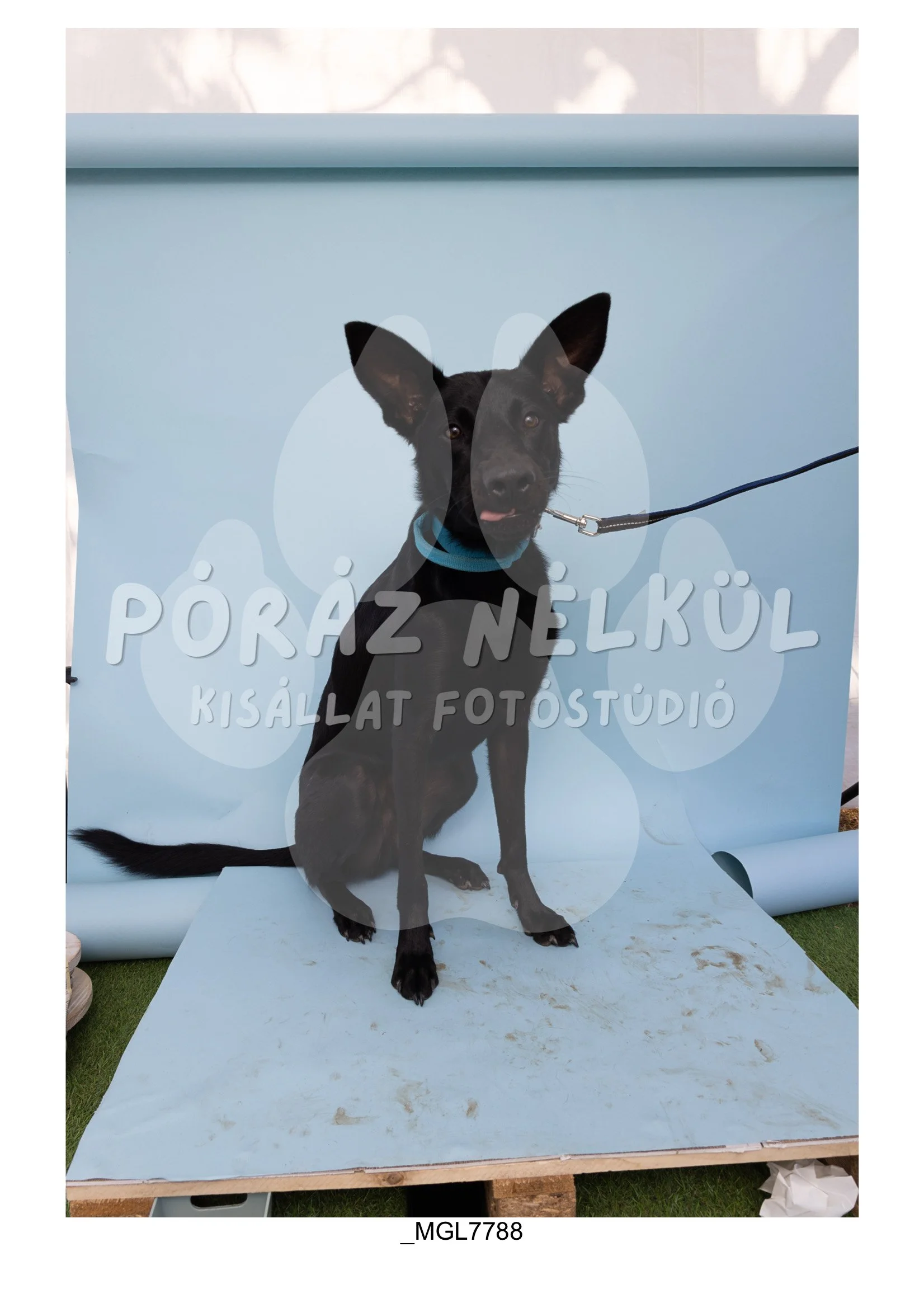 Fidela_Puller_Galéria-67.jpg