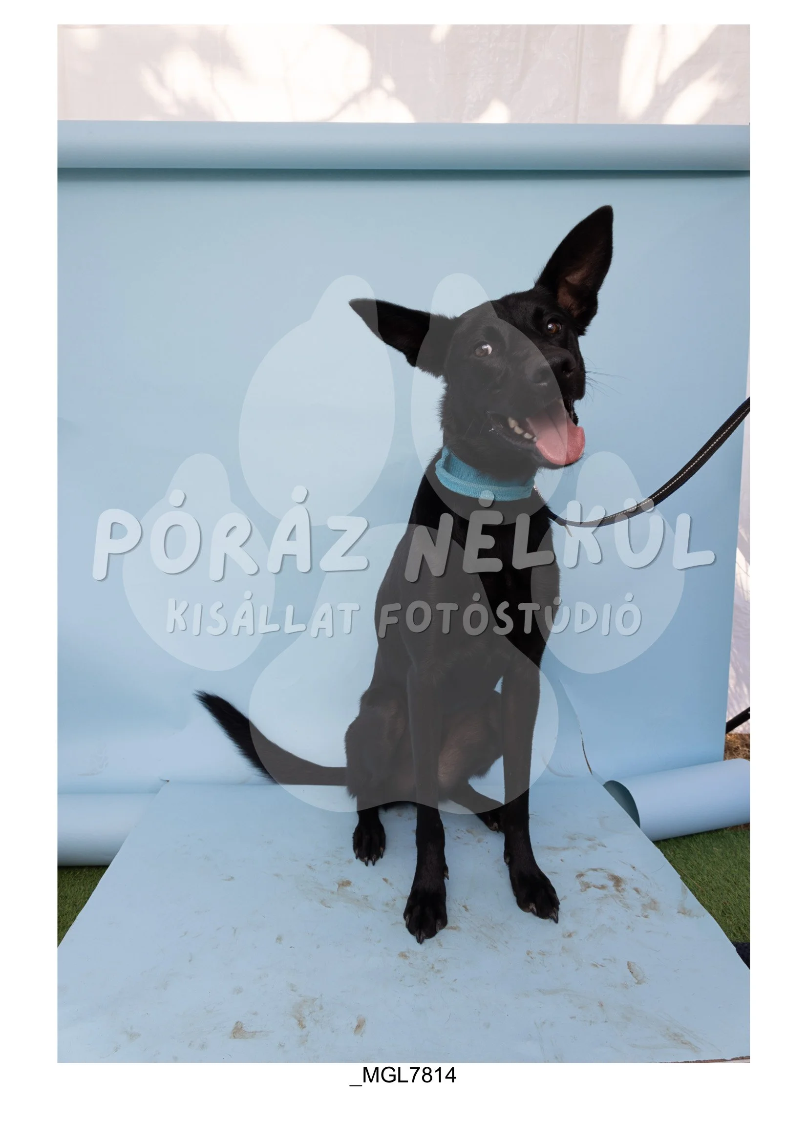 Fidela_Puller_Galéria-70.jpg