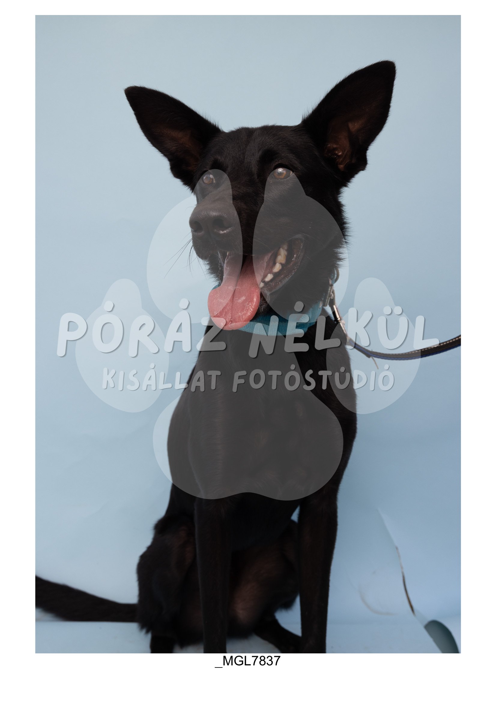 Fidela_Puller_Galéria-71.jpg