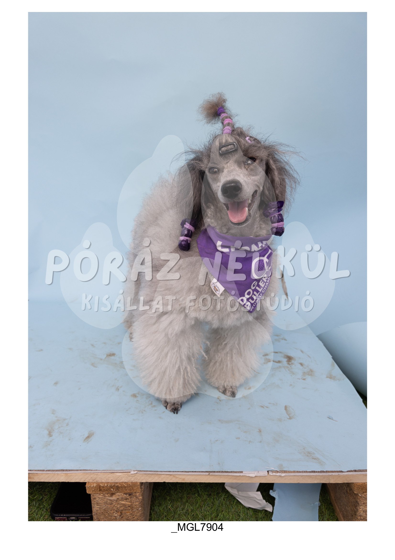 Fidela_Puller_Galéria-79.jpg