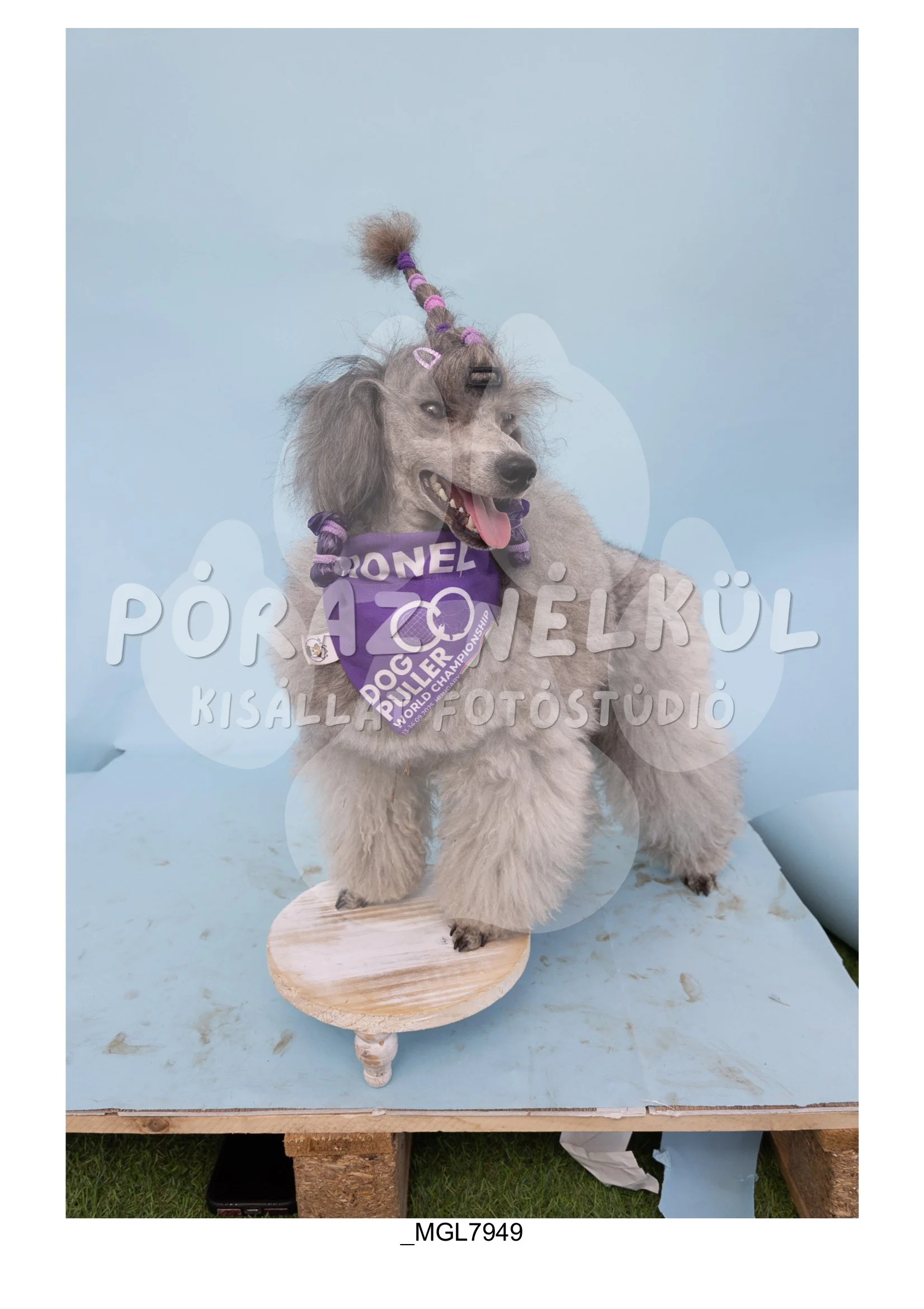 Fidela_Puller_Galéria-82.jpg