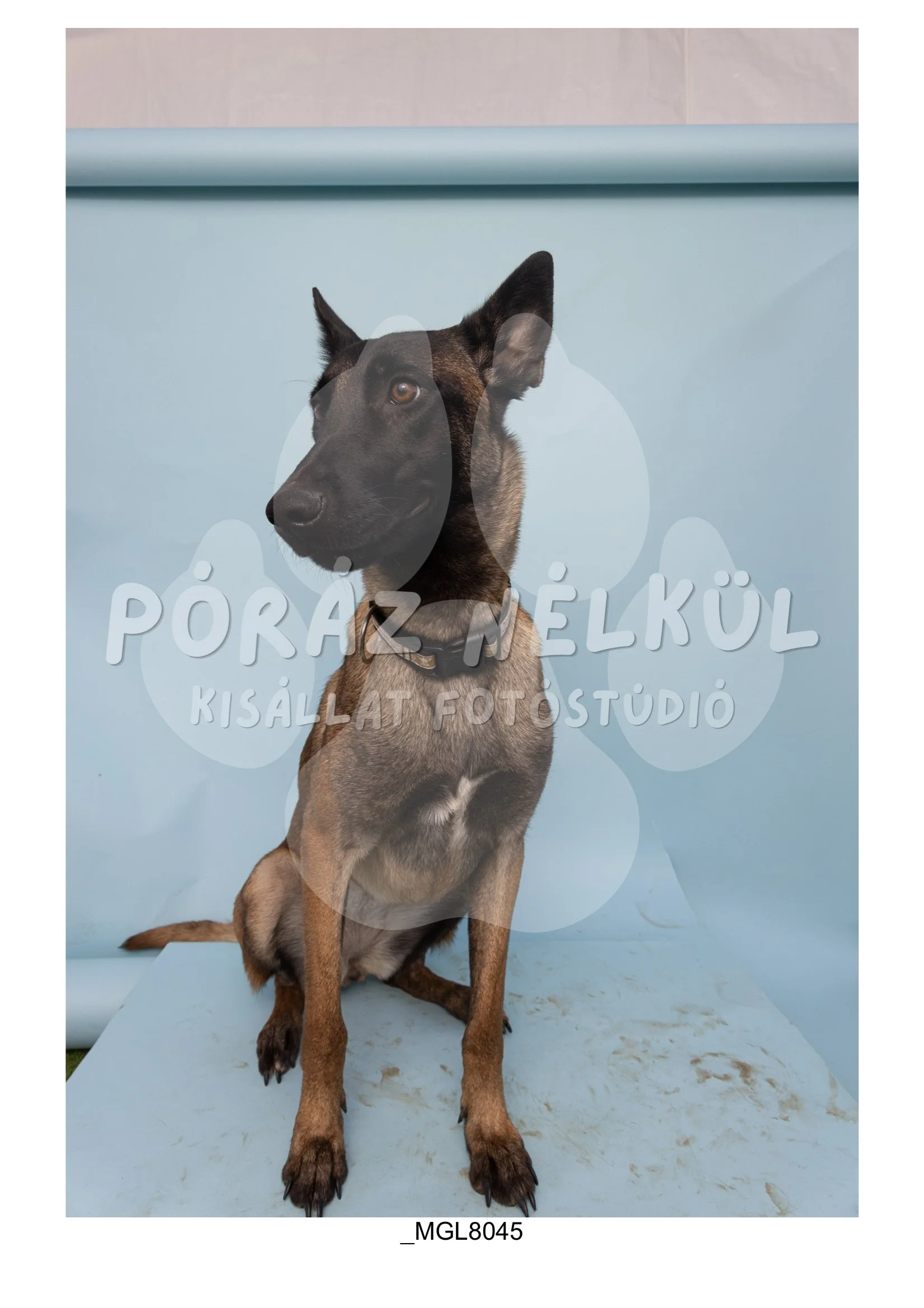 Fidela_Puller_Galéria-90.jpg