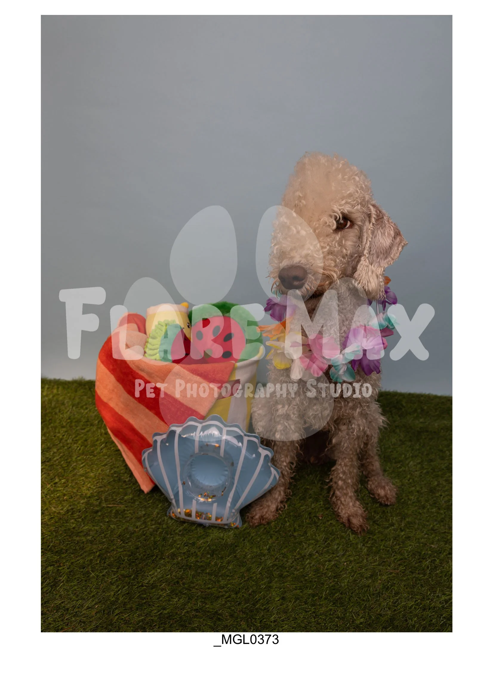 Doghouse gallery-001.jpg