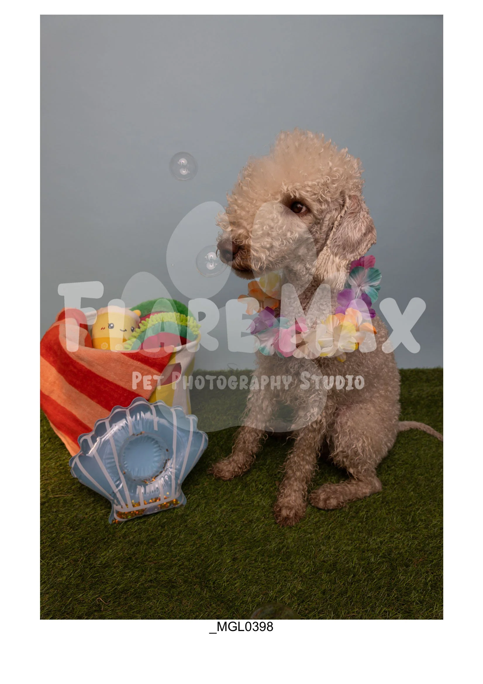 Doghouse gallery-003.jpg