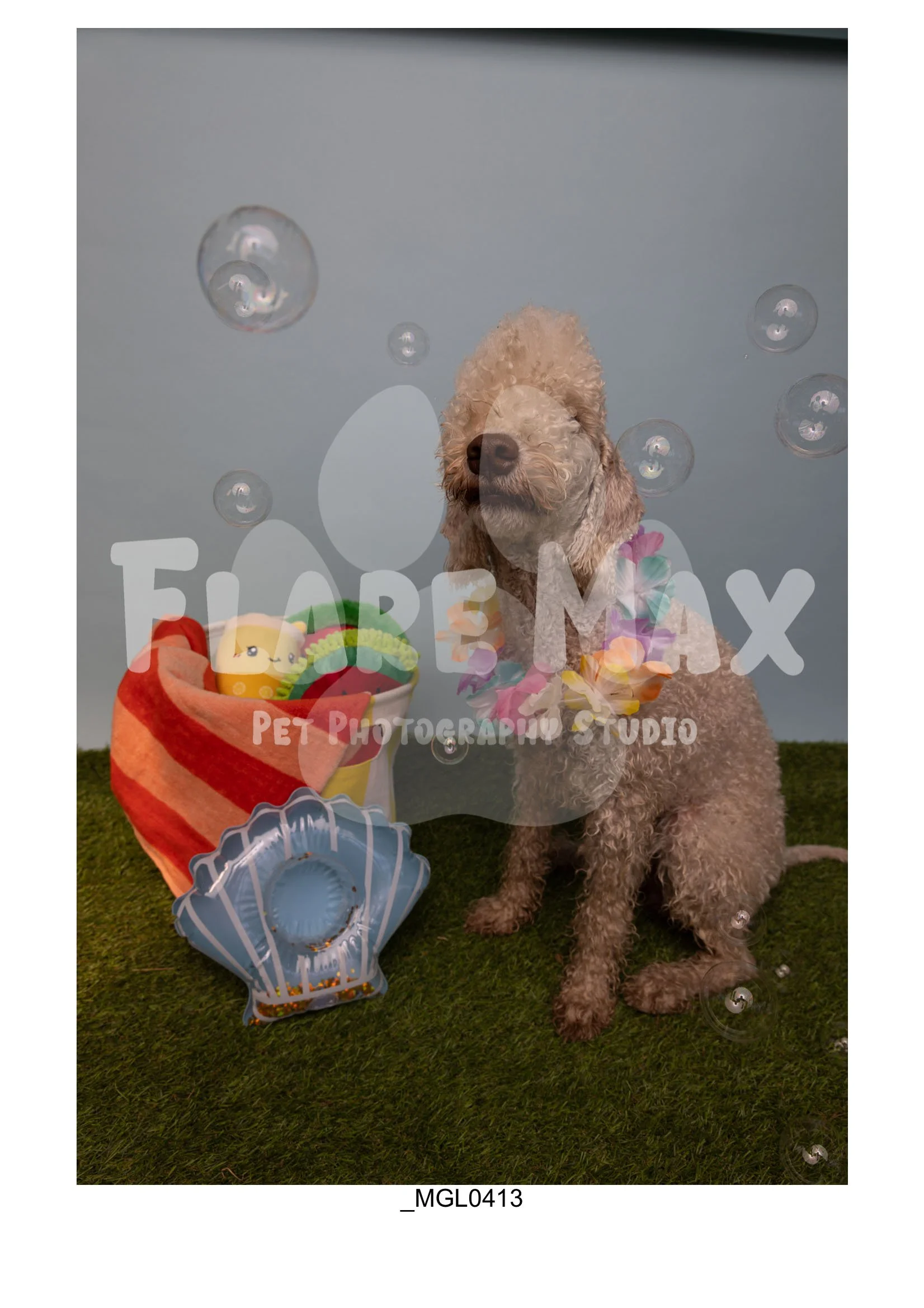 Doghouse gallery-004.jpg