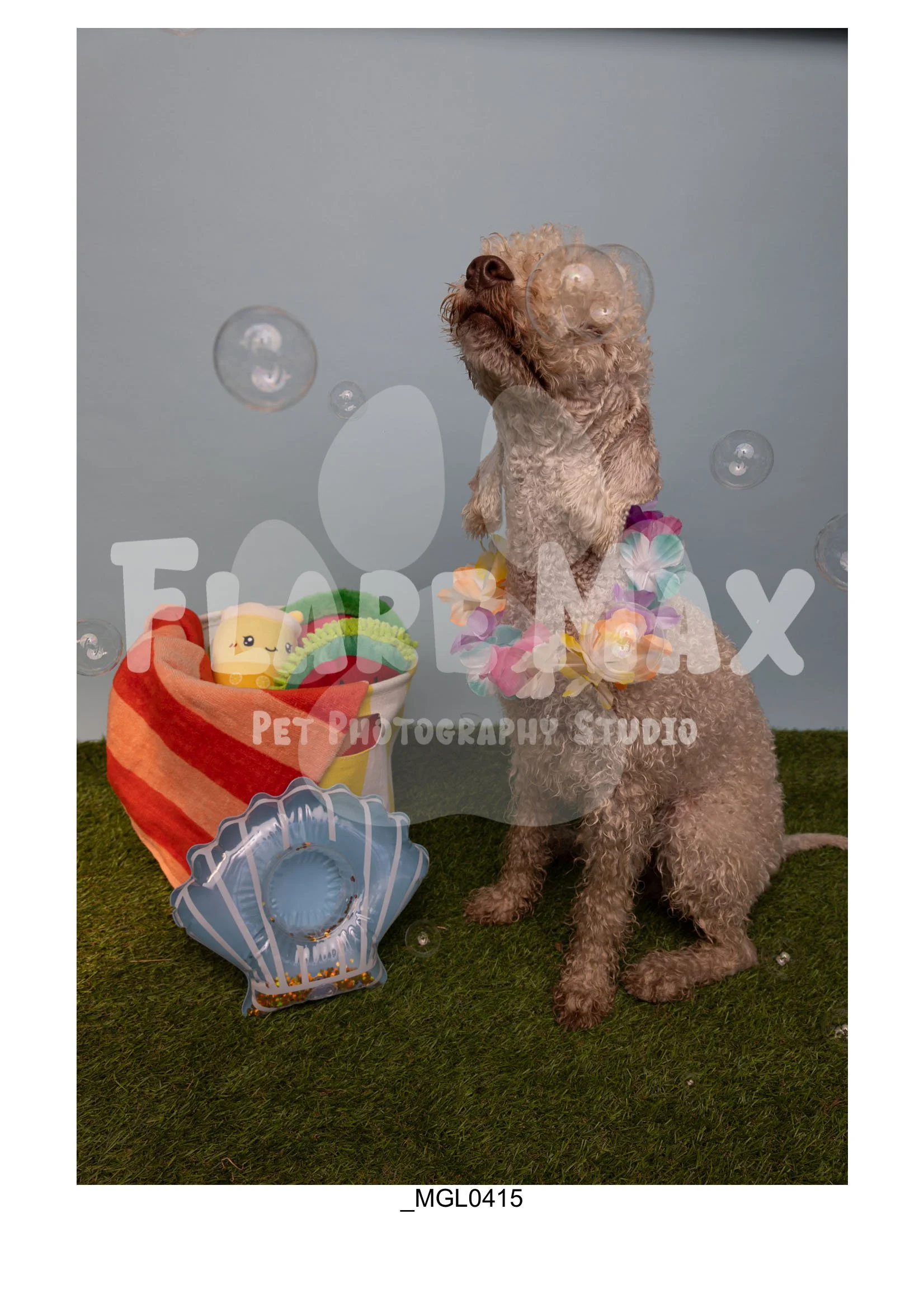 Doghouse gallery-005.jpg