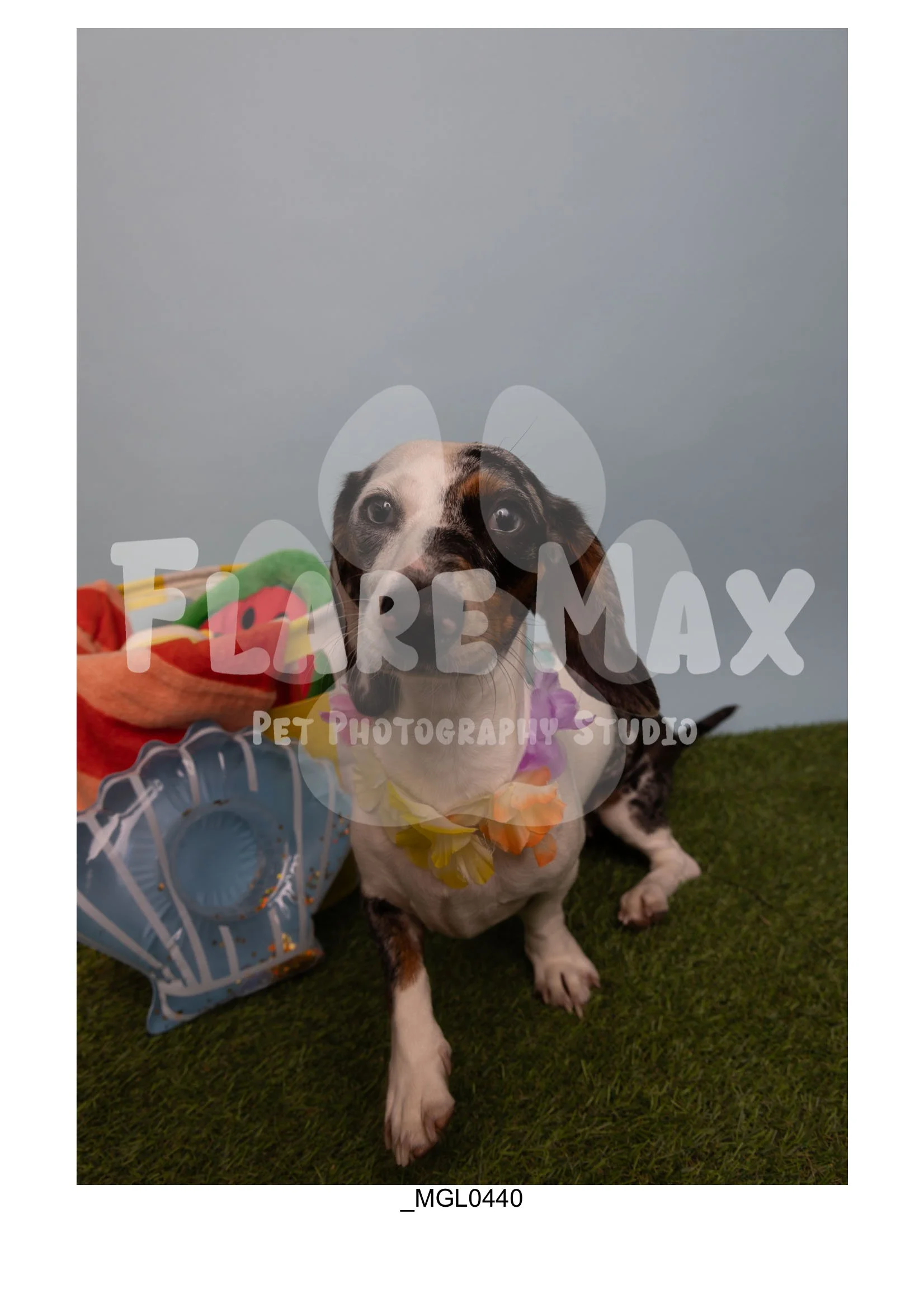 Doghouse gallery-009.jpg