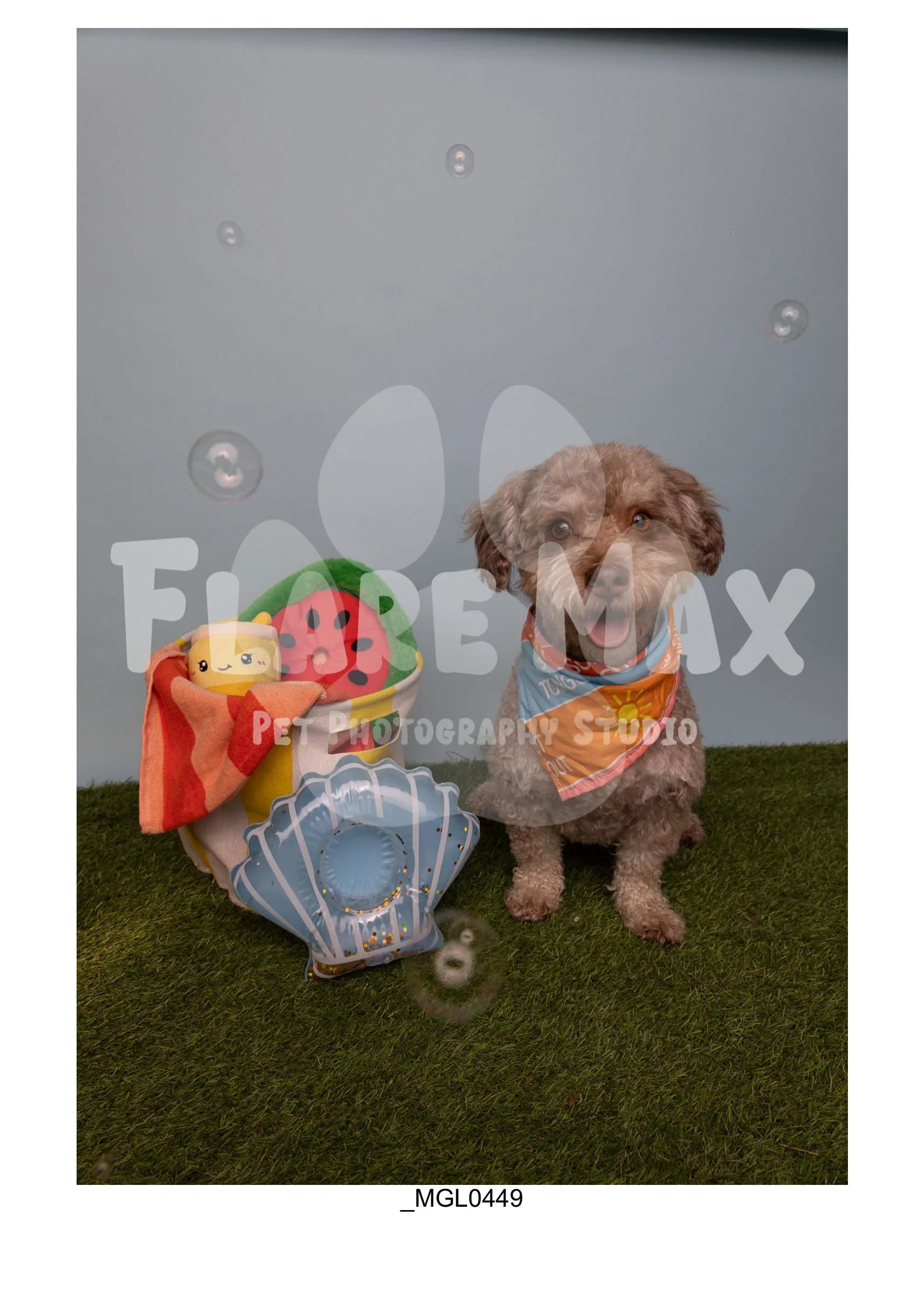 Doghouse gallery-010.jpg