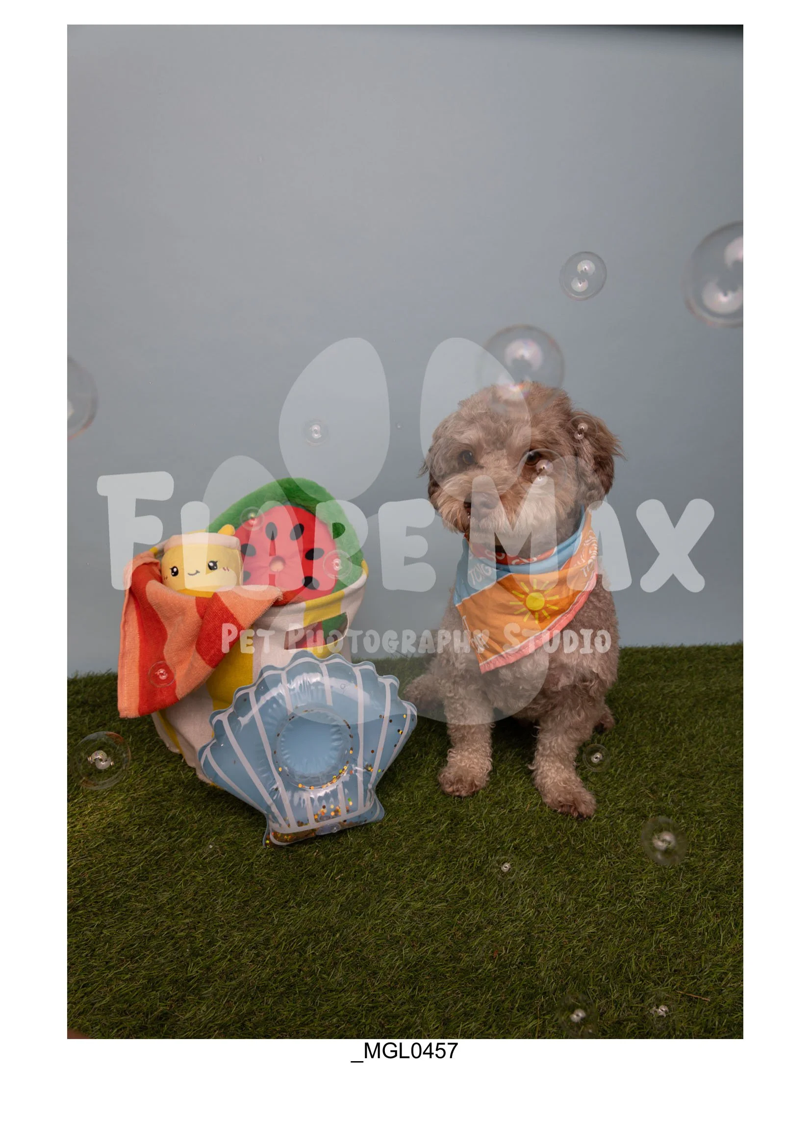 Doghouse gallery-011.jpg