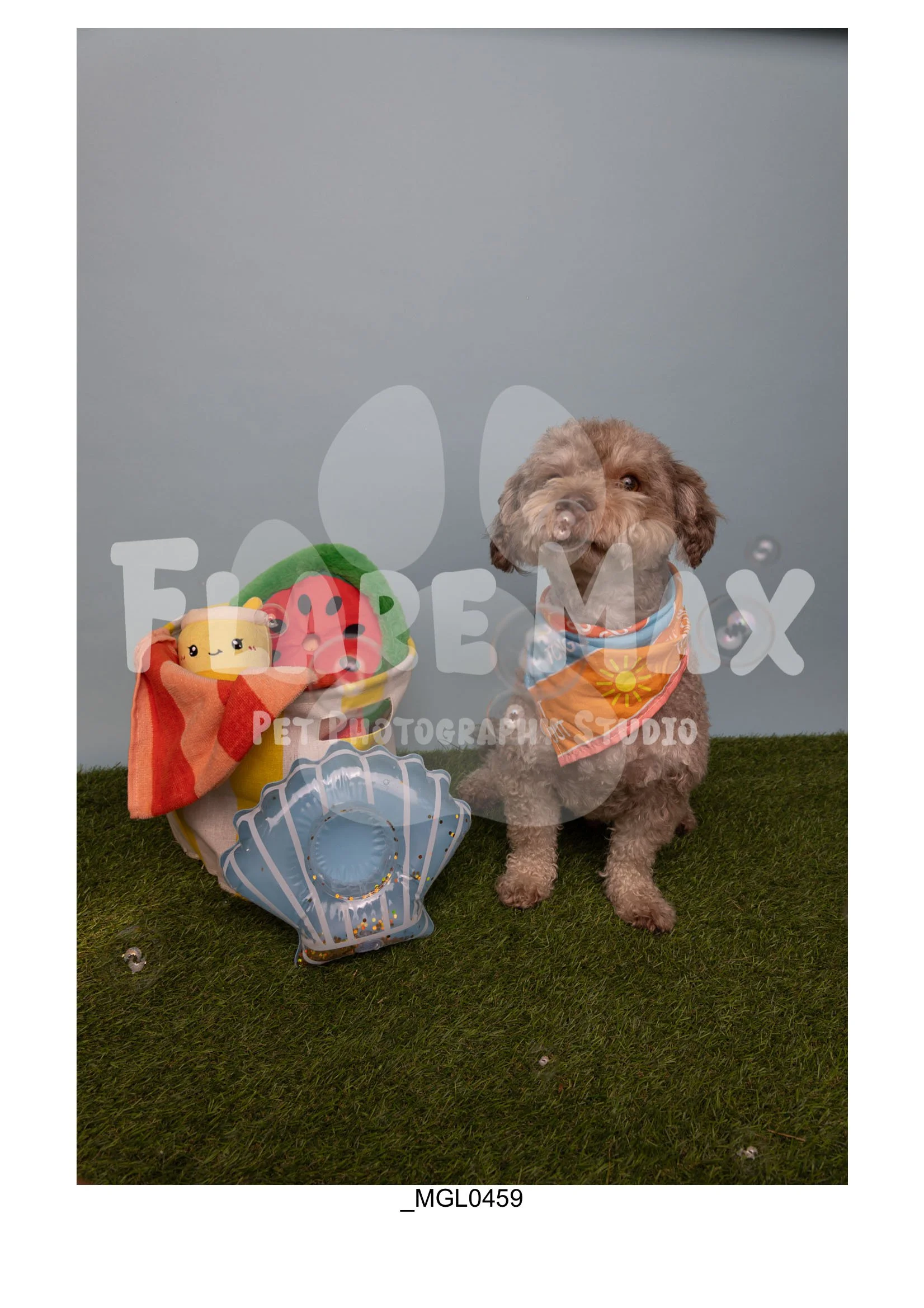 Doghouse gallery-012.jpg