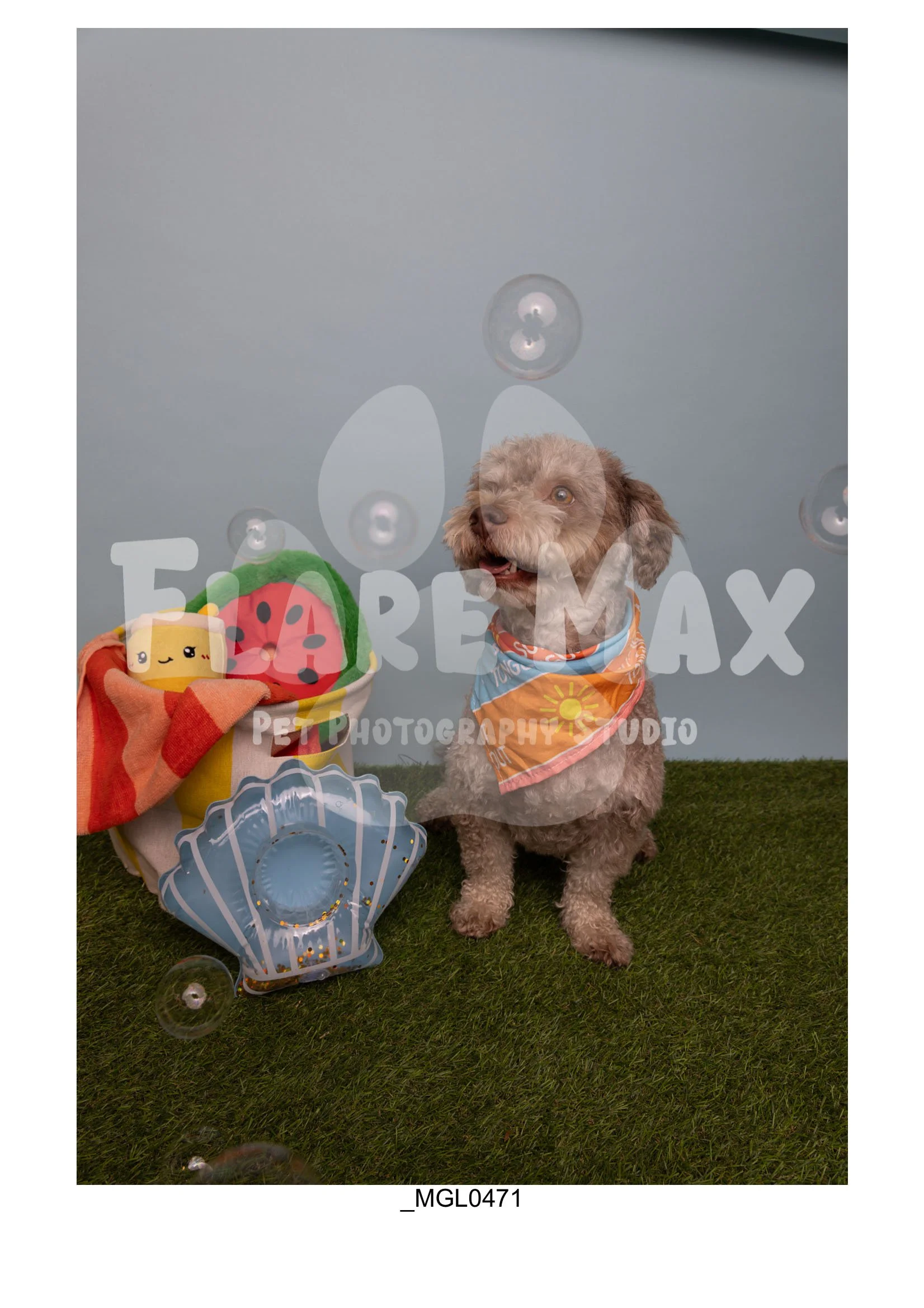 Doghouse gallery-013.jpg