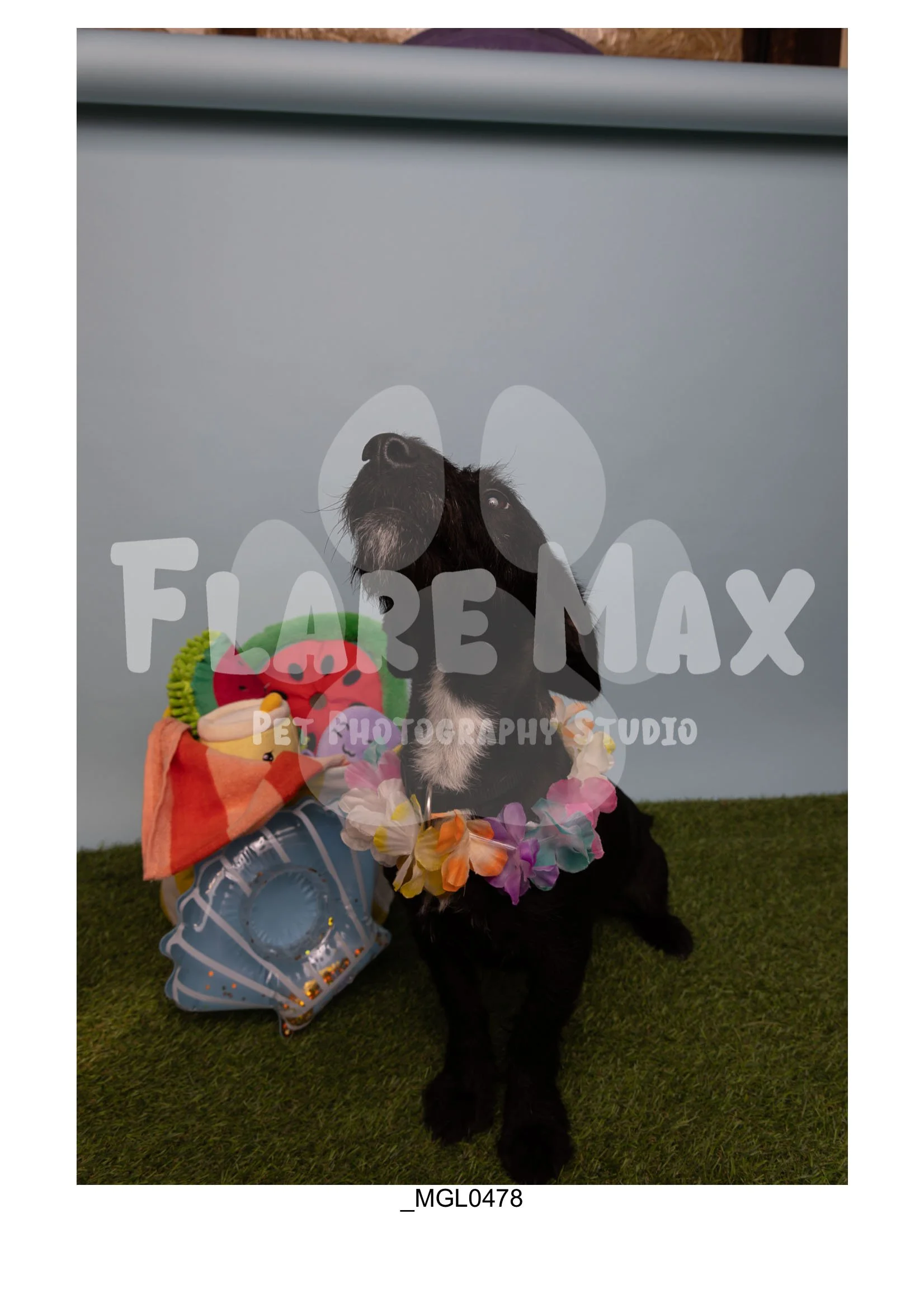 Doghouse gallery-014.jpg